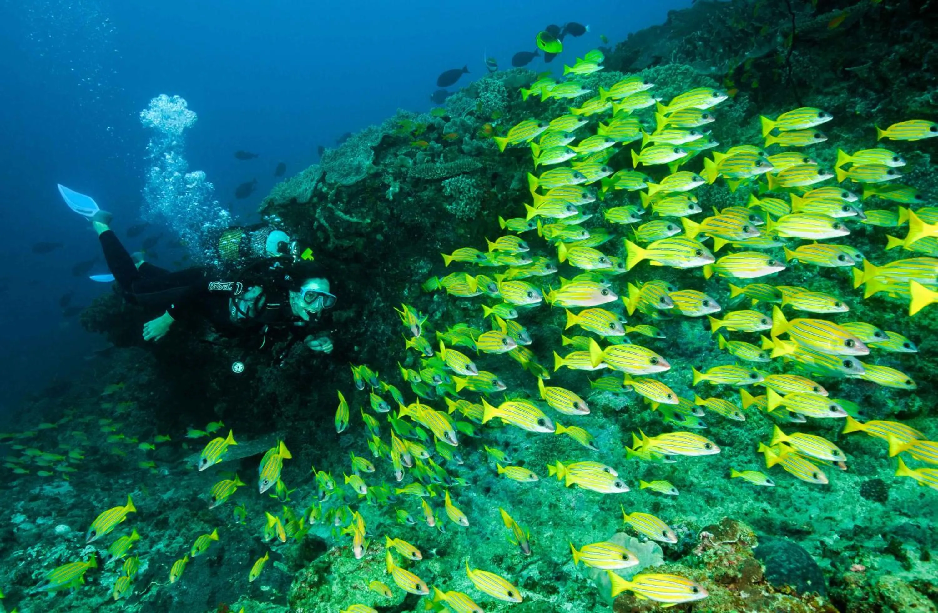 Diving in Machangulo Beach Lodge