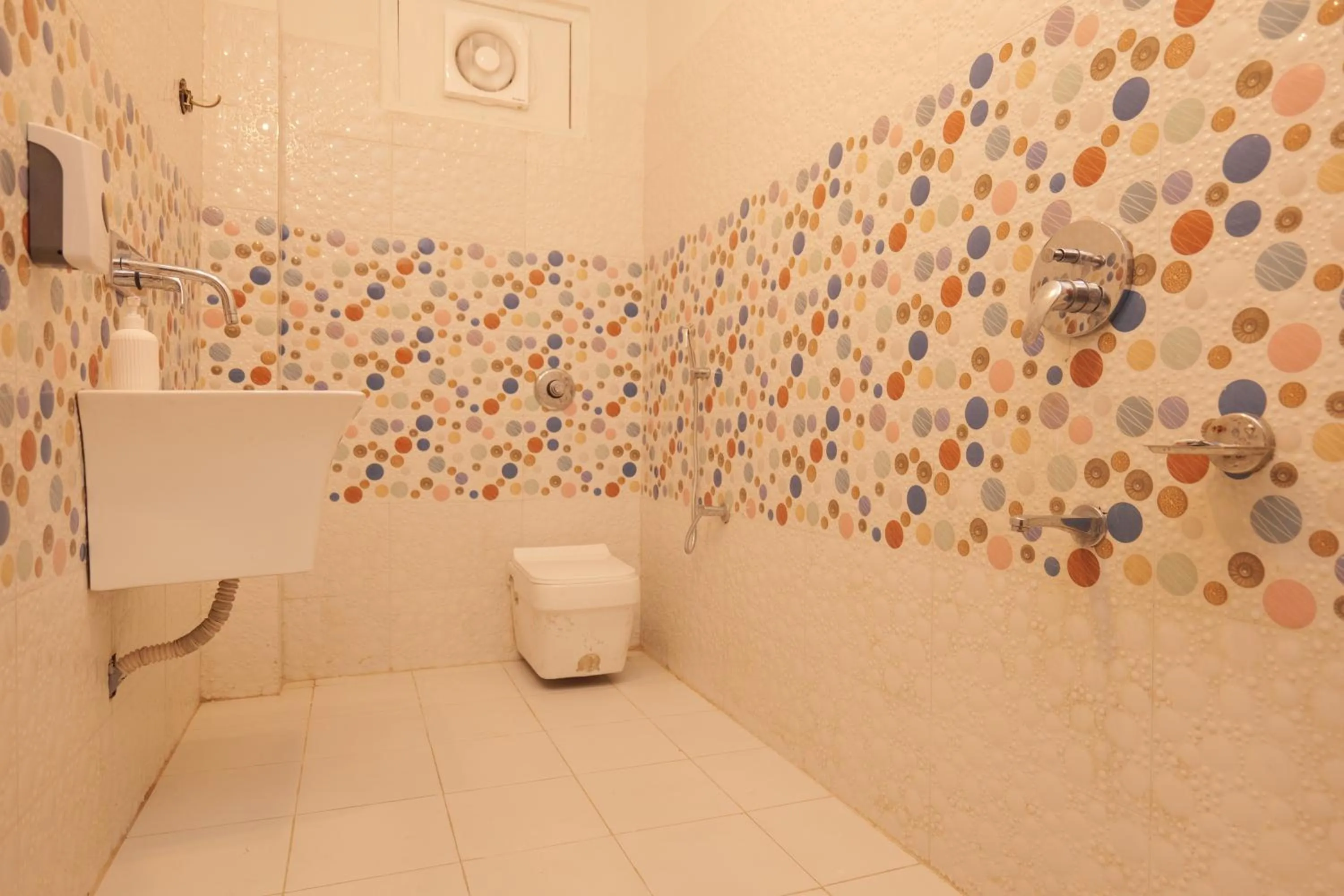 The Trippy Tribe Riverside Hostel Kasol