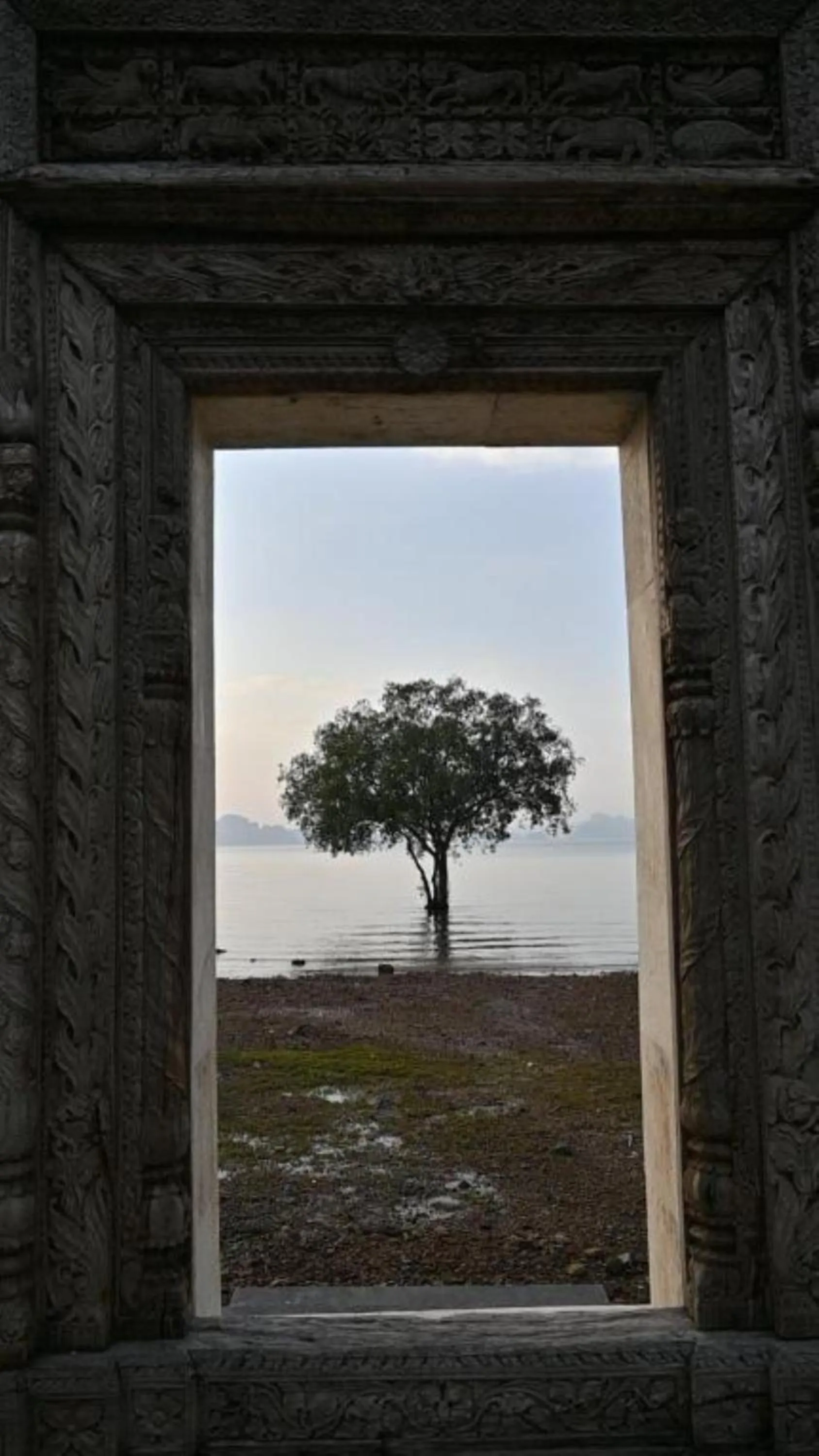 Natural landscape in Big Sun Residences By iRETREAT