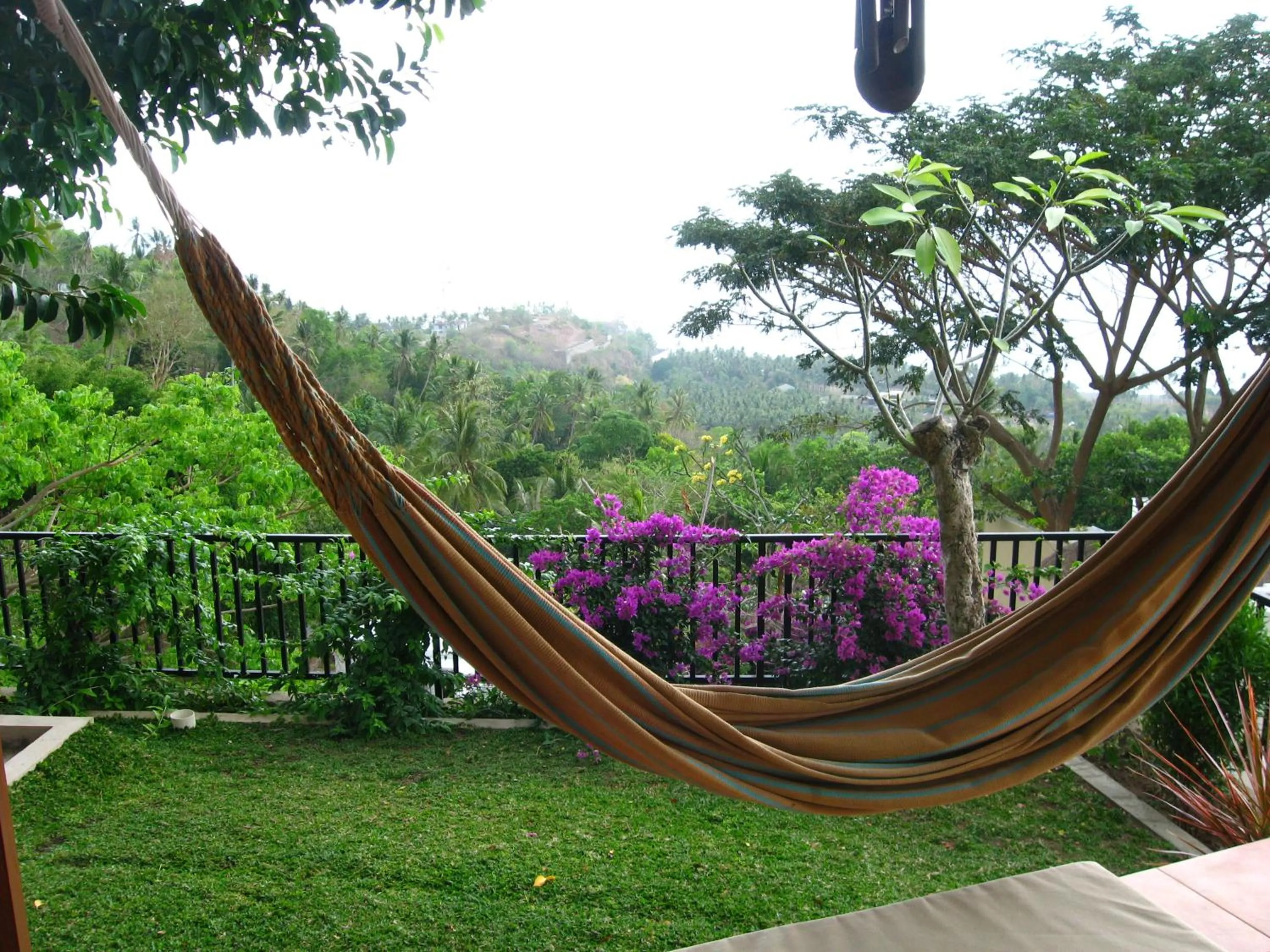 Natural landscape in Villa Karingal