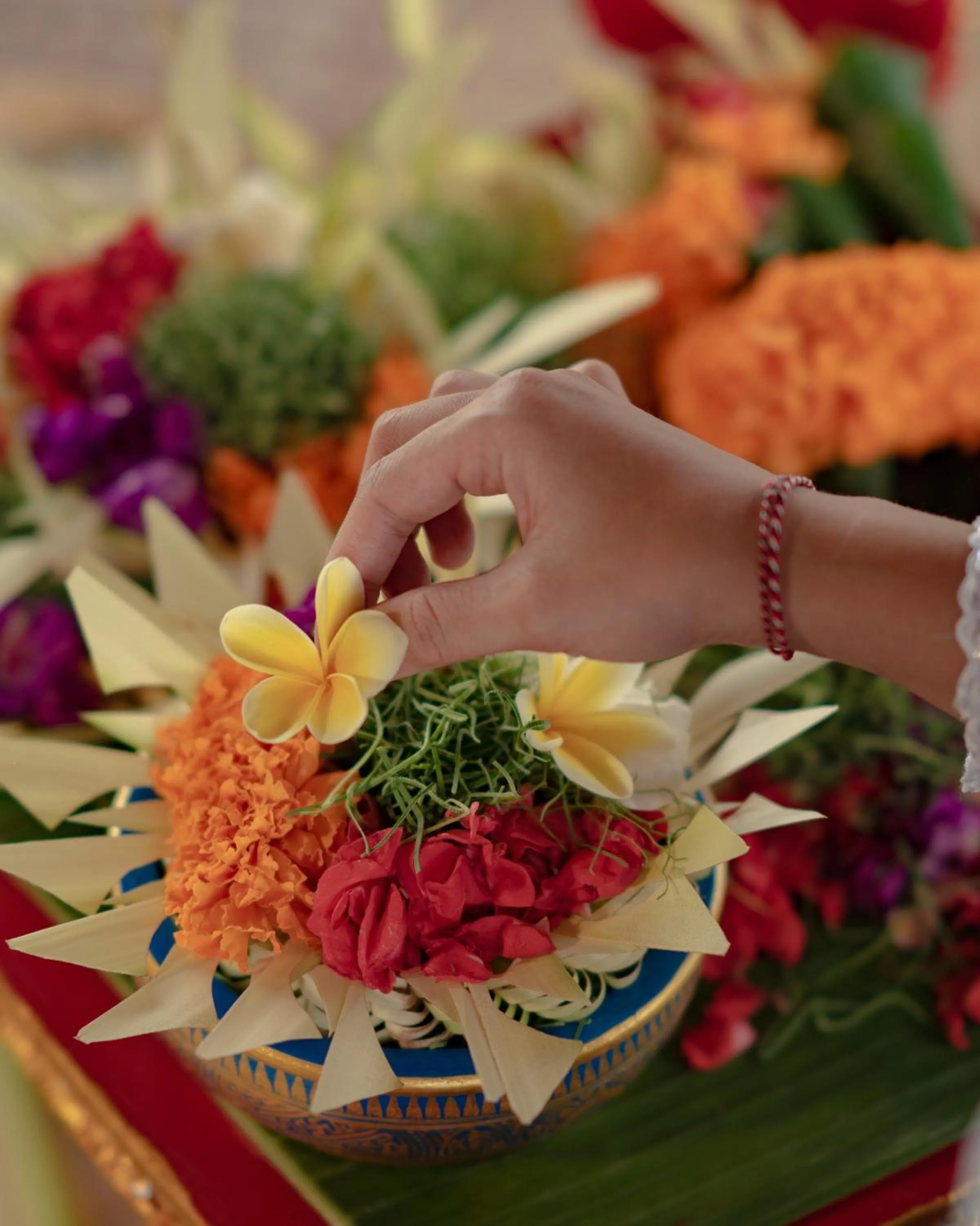 Activities in Abisena Wellness & Resort Ubud-Adult Only