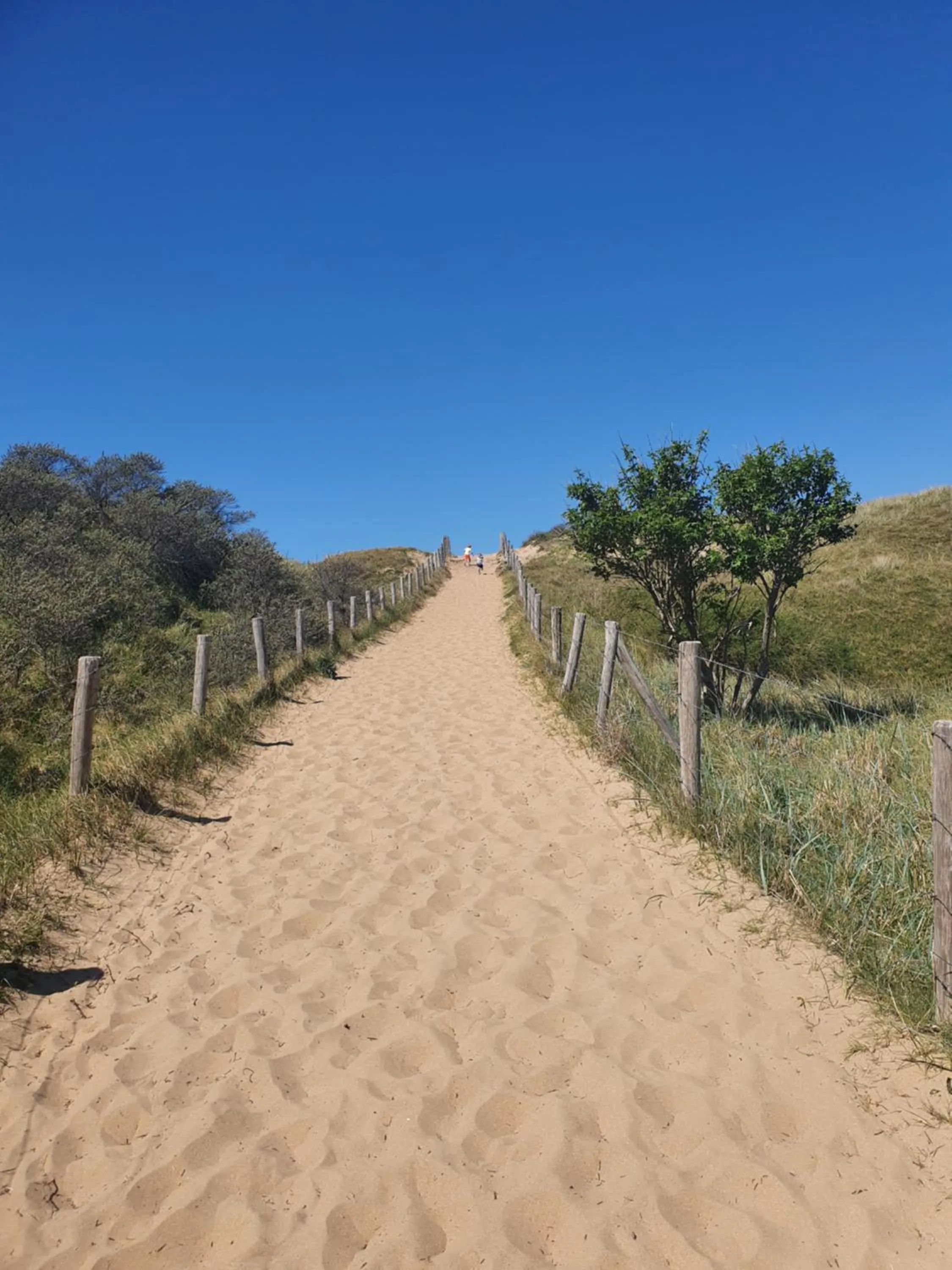 Beach in Hotel Bloemendaal by BHC