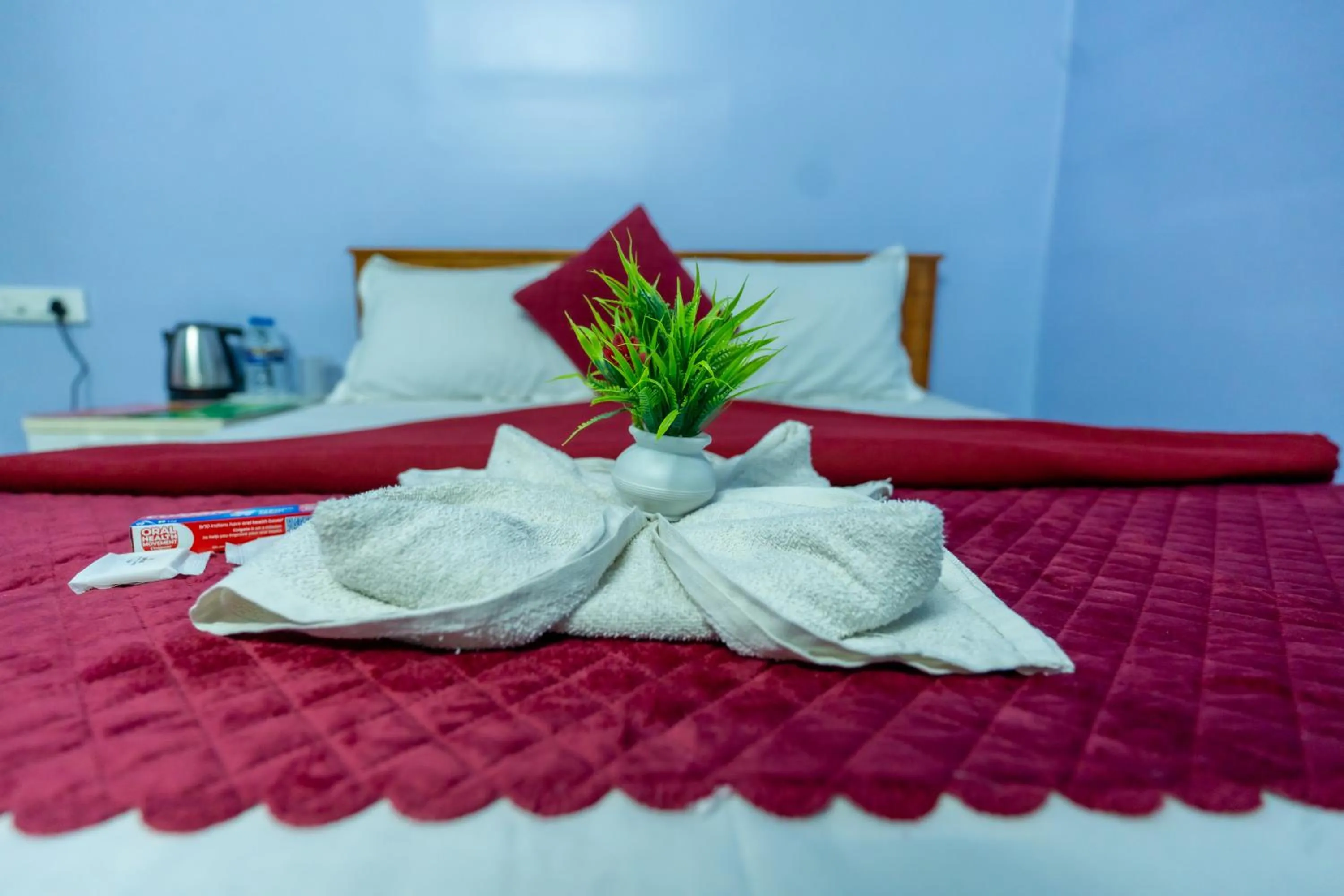 Bed in Aryas Residency- Near Isha Foundation Coimbatore & Karunya University