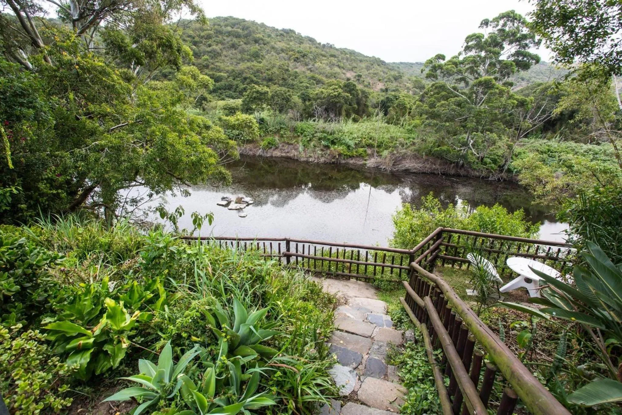 River view in Fish Eagle Manor