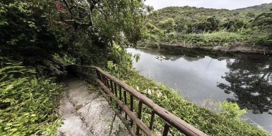 River view in Fish Eagle Manor