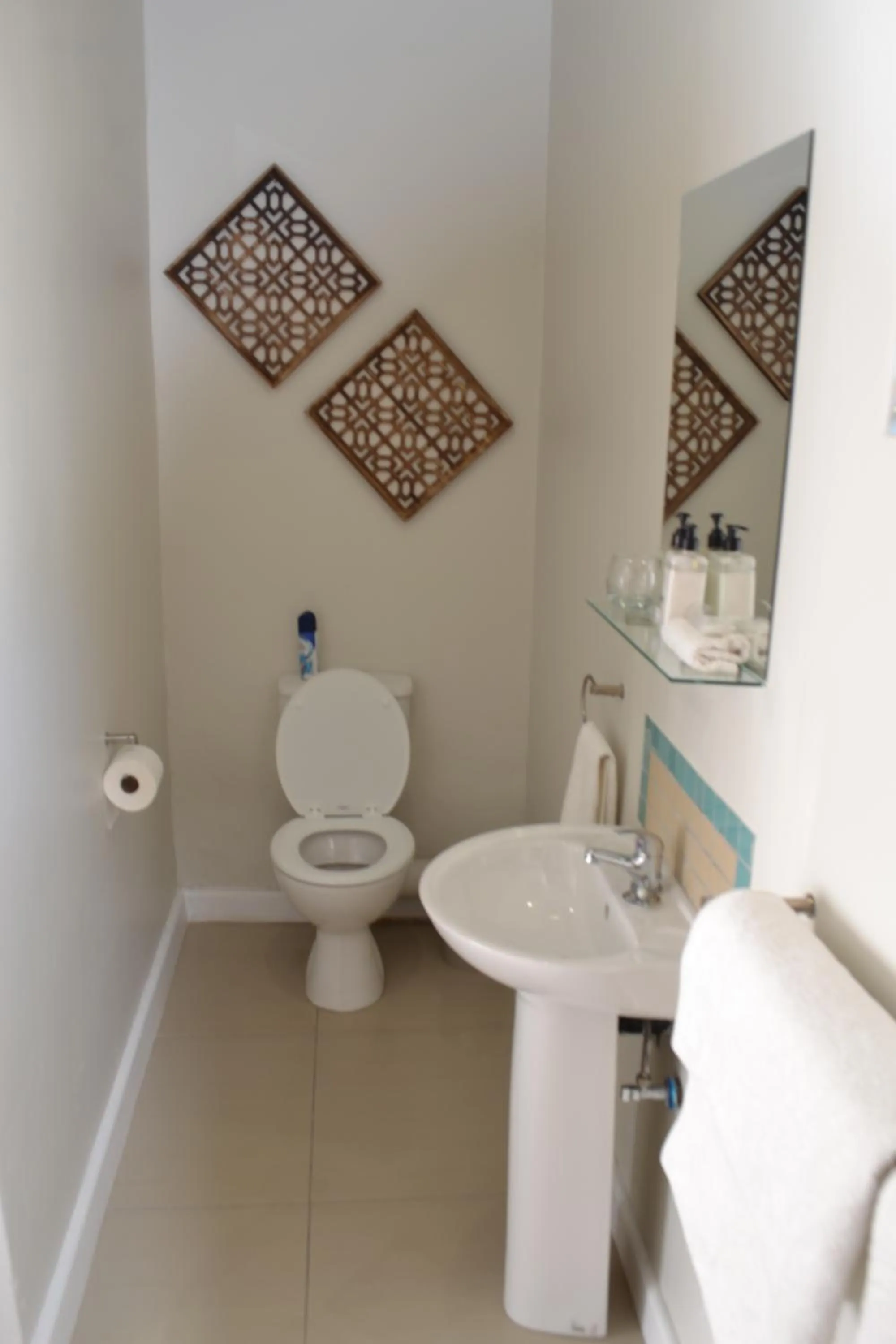 Shower in Fish Eagle Manor