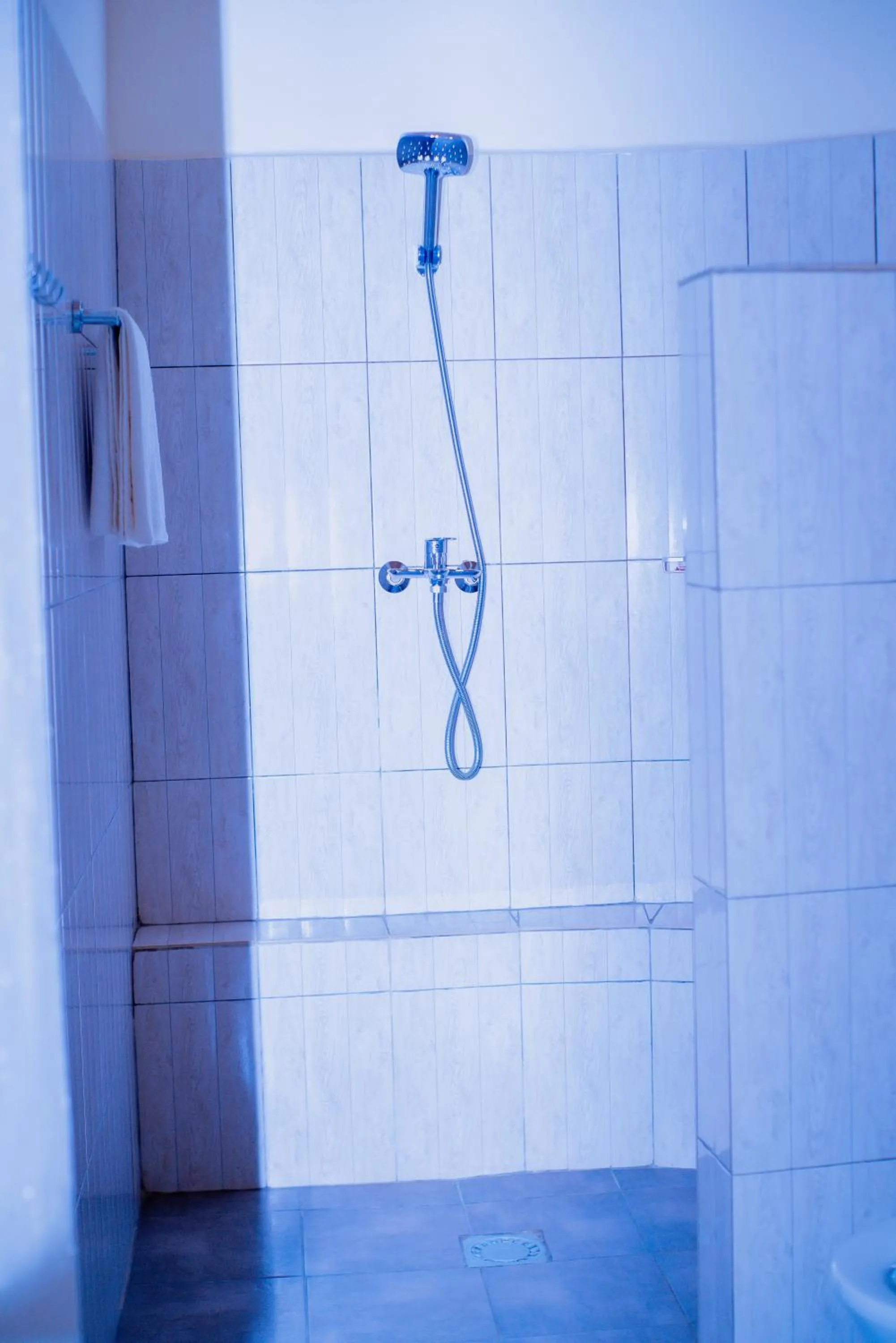 Shower in Green View Apartments