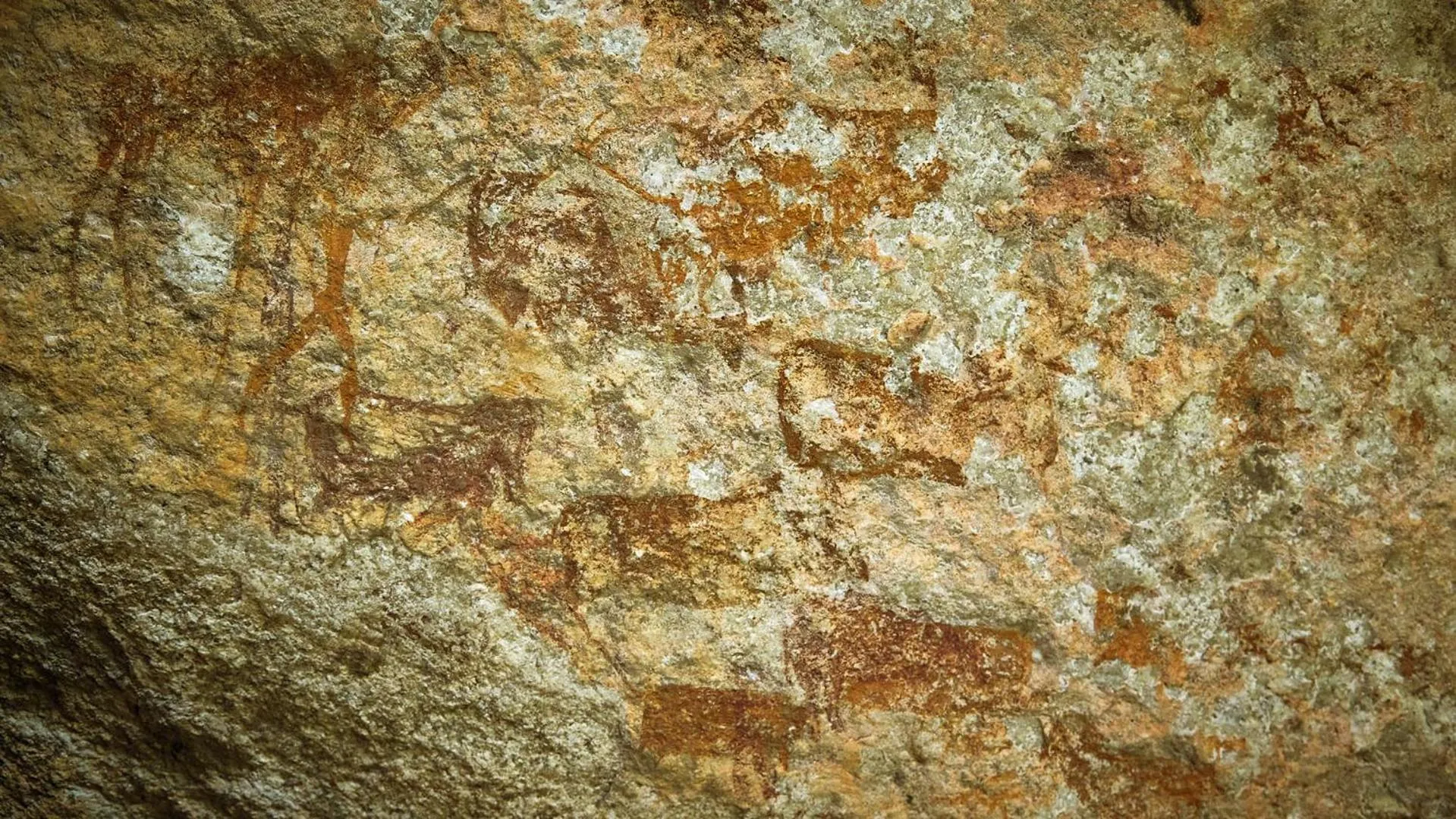 Other in Nkomazi Game Reserve by NEWMARK