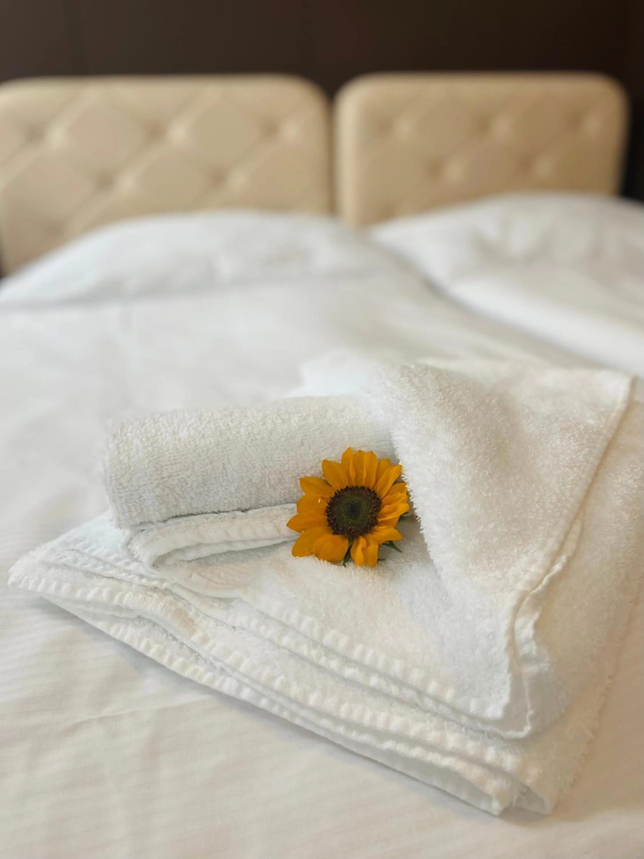 Bed in Hotel Ďumbier