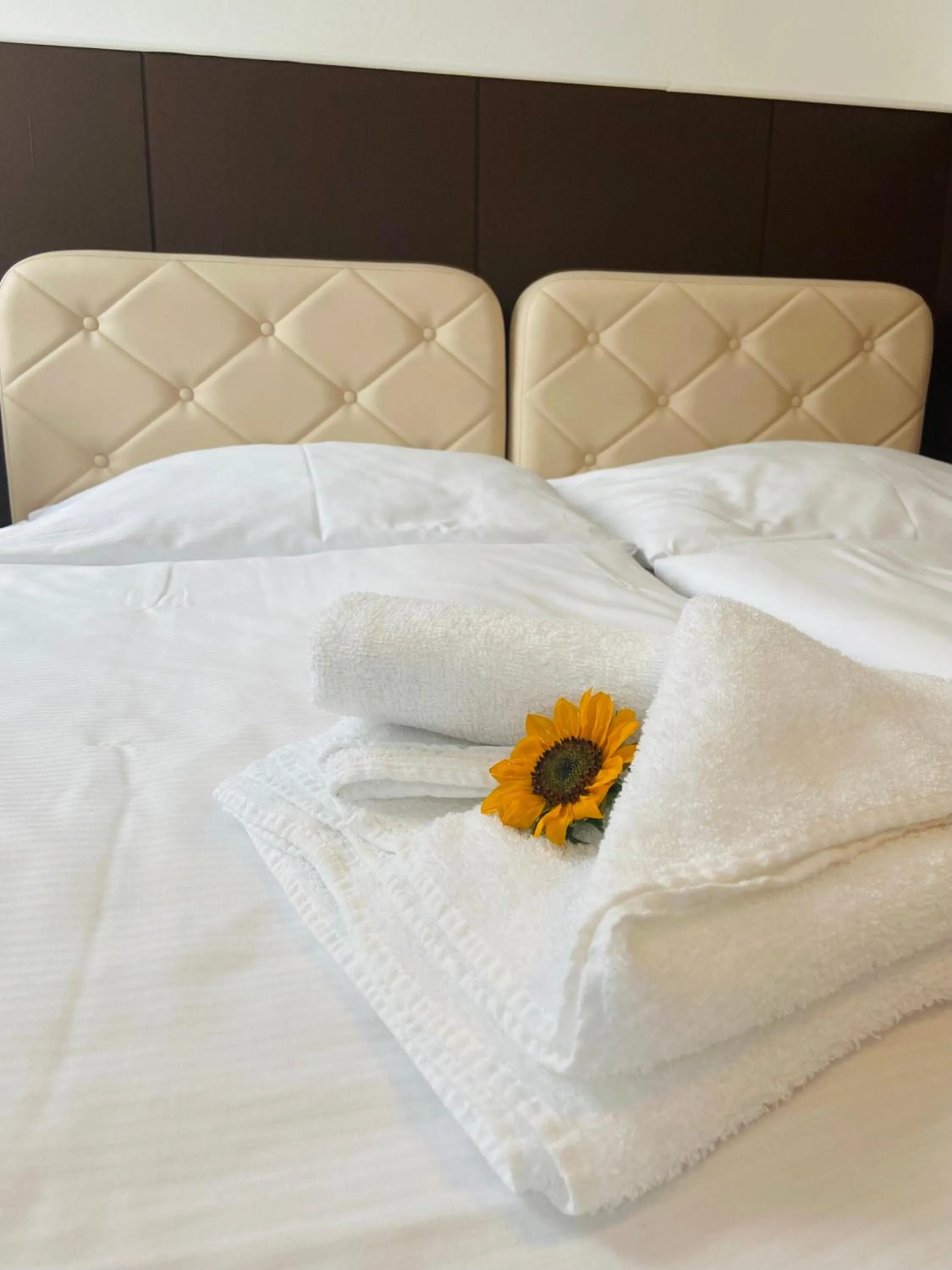 hair dresser, Bed in Hotel Ďumbier