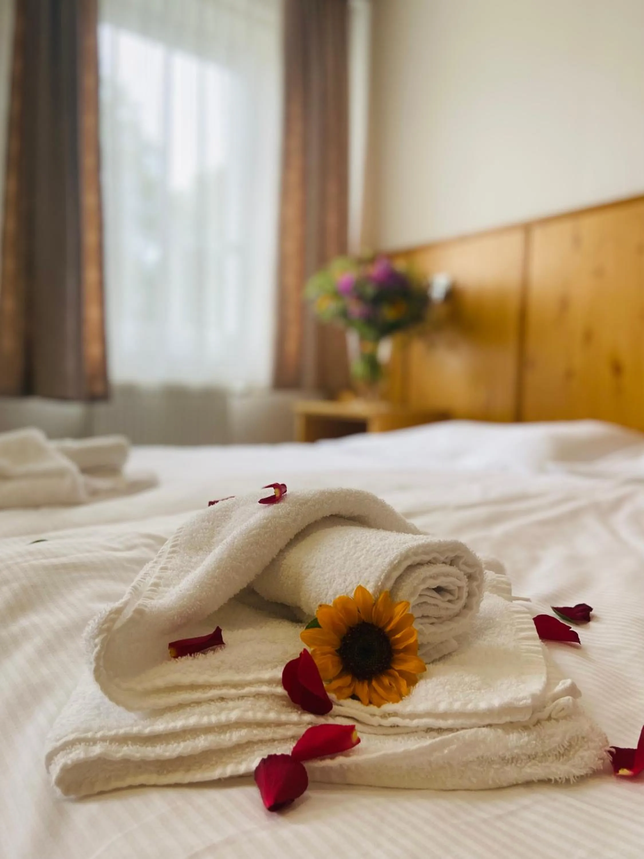 Bed in Hotel Ďumbier