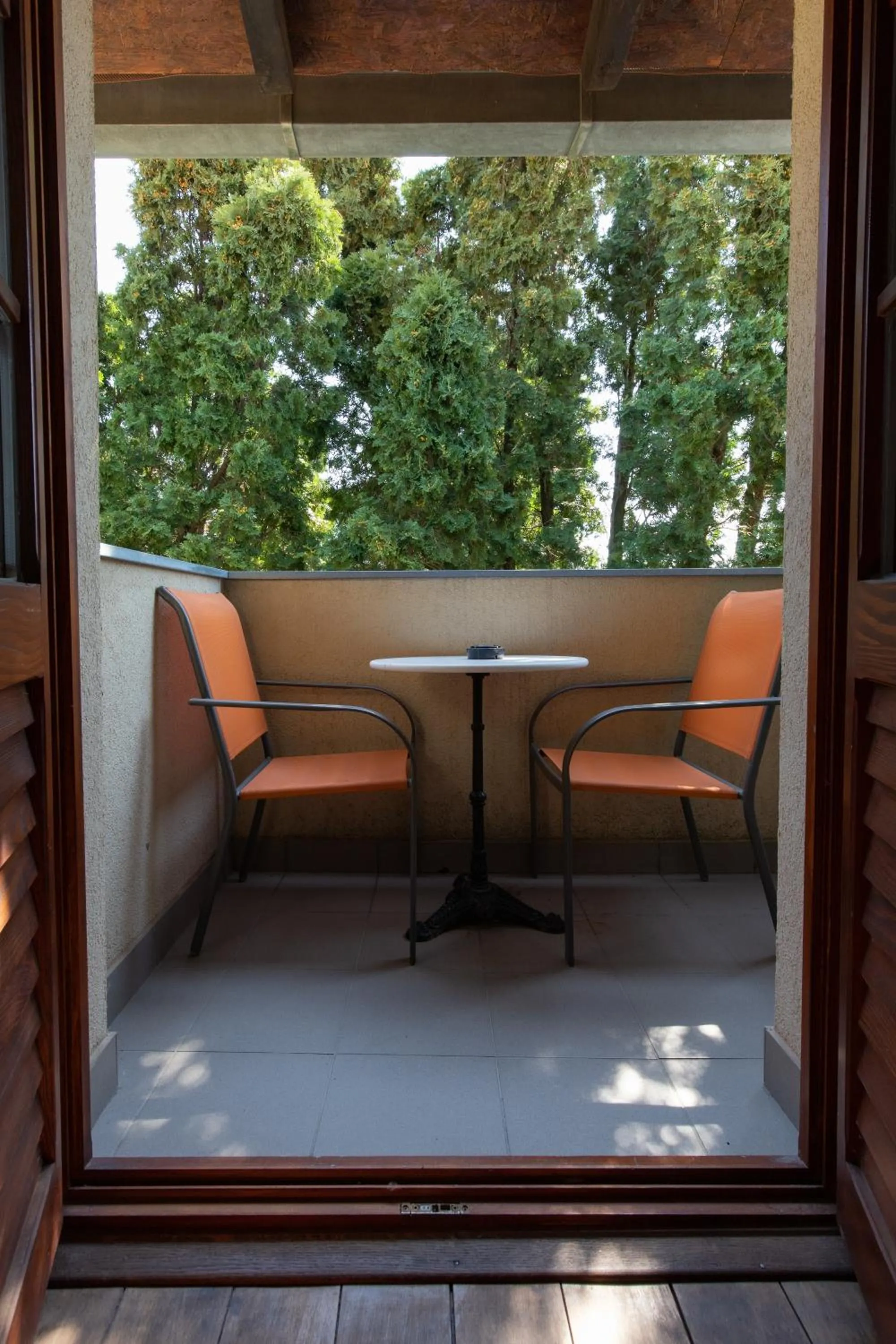 Balcony/Terrace in Hotel Lug