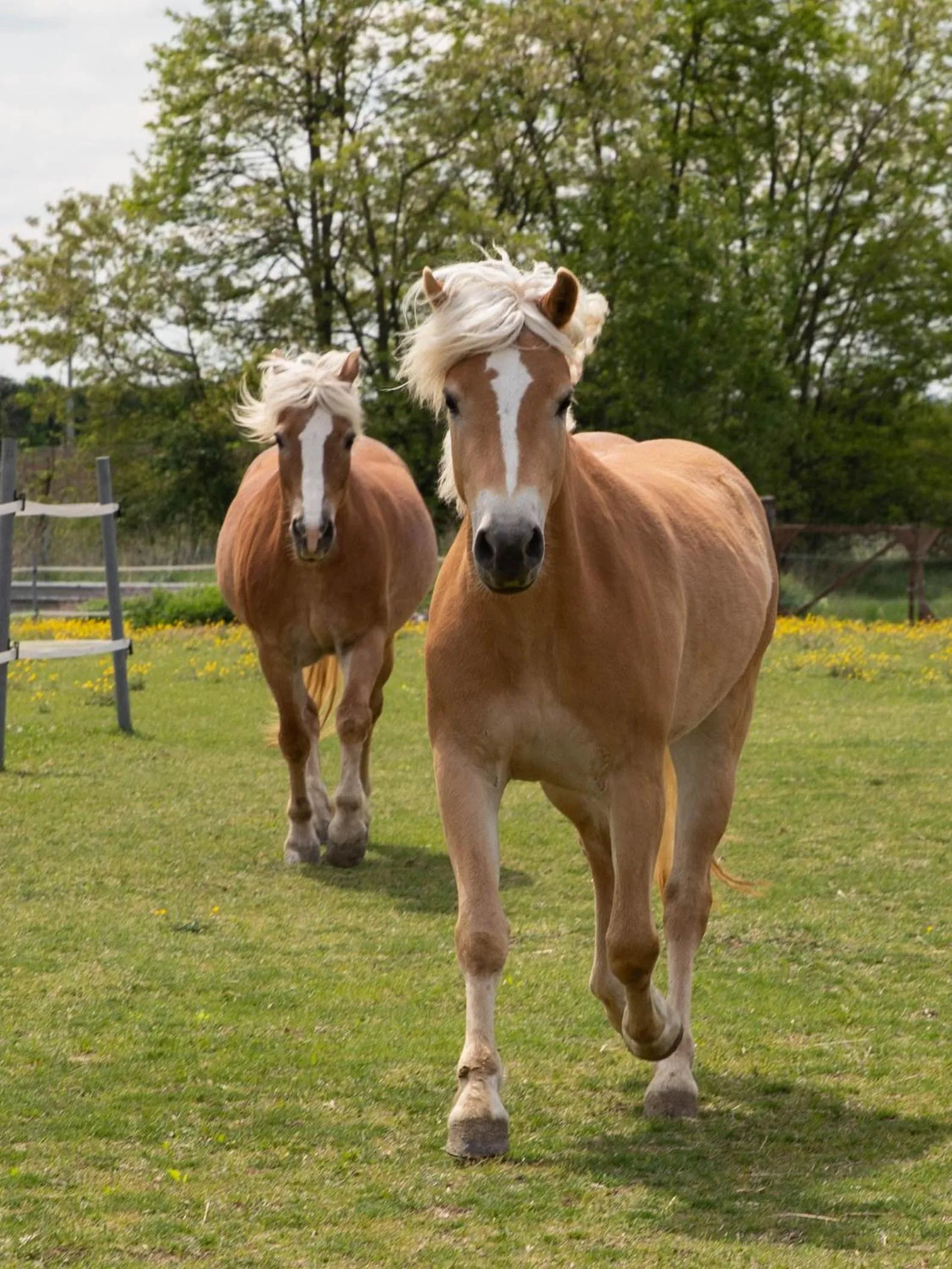 Activities in Hotel Lug