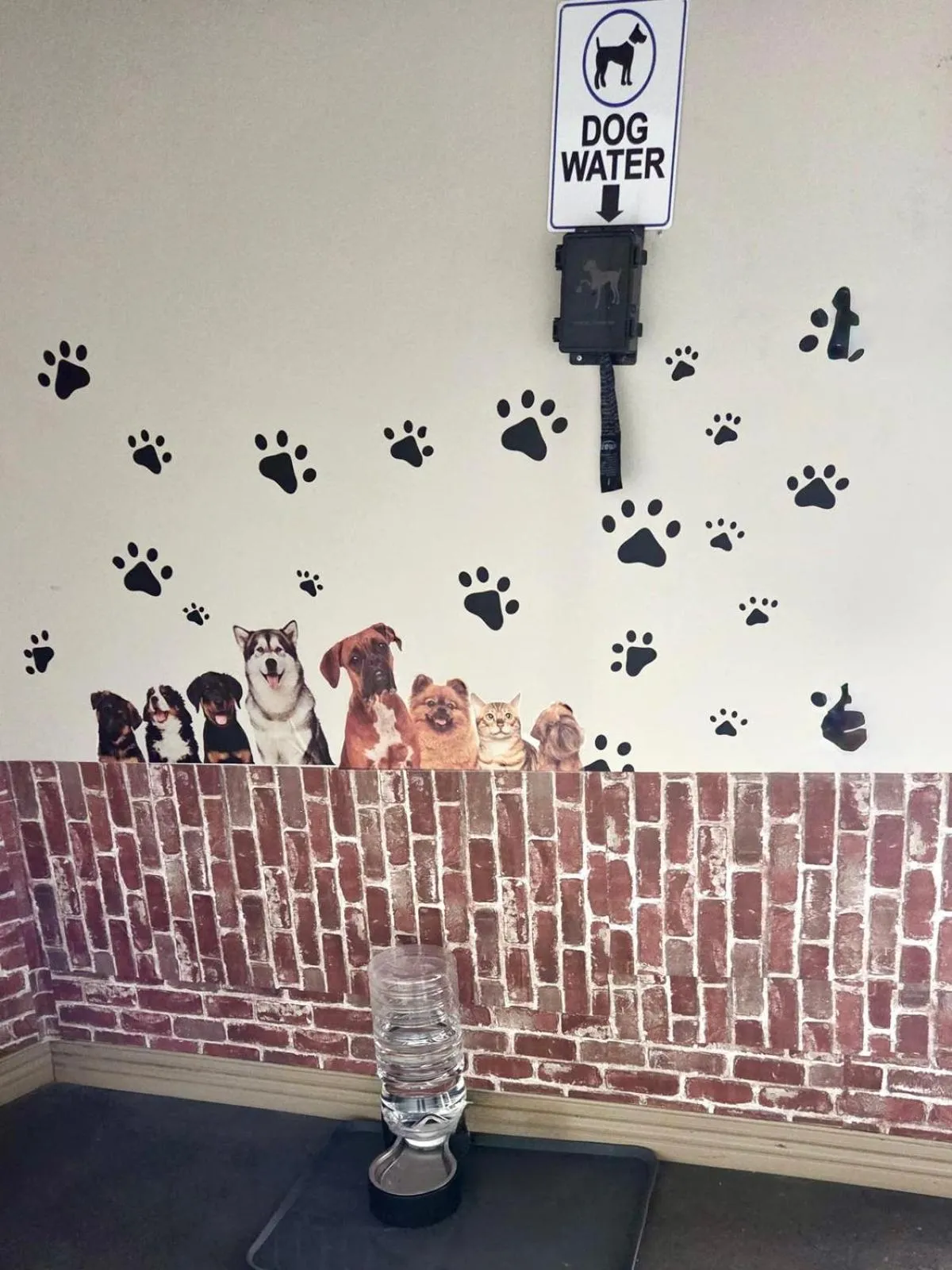 Pets in THE INN-Pittsburgh