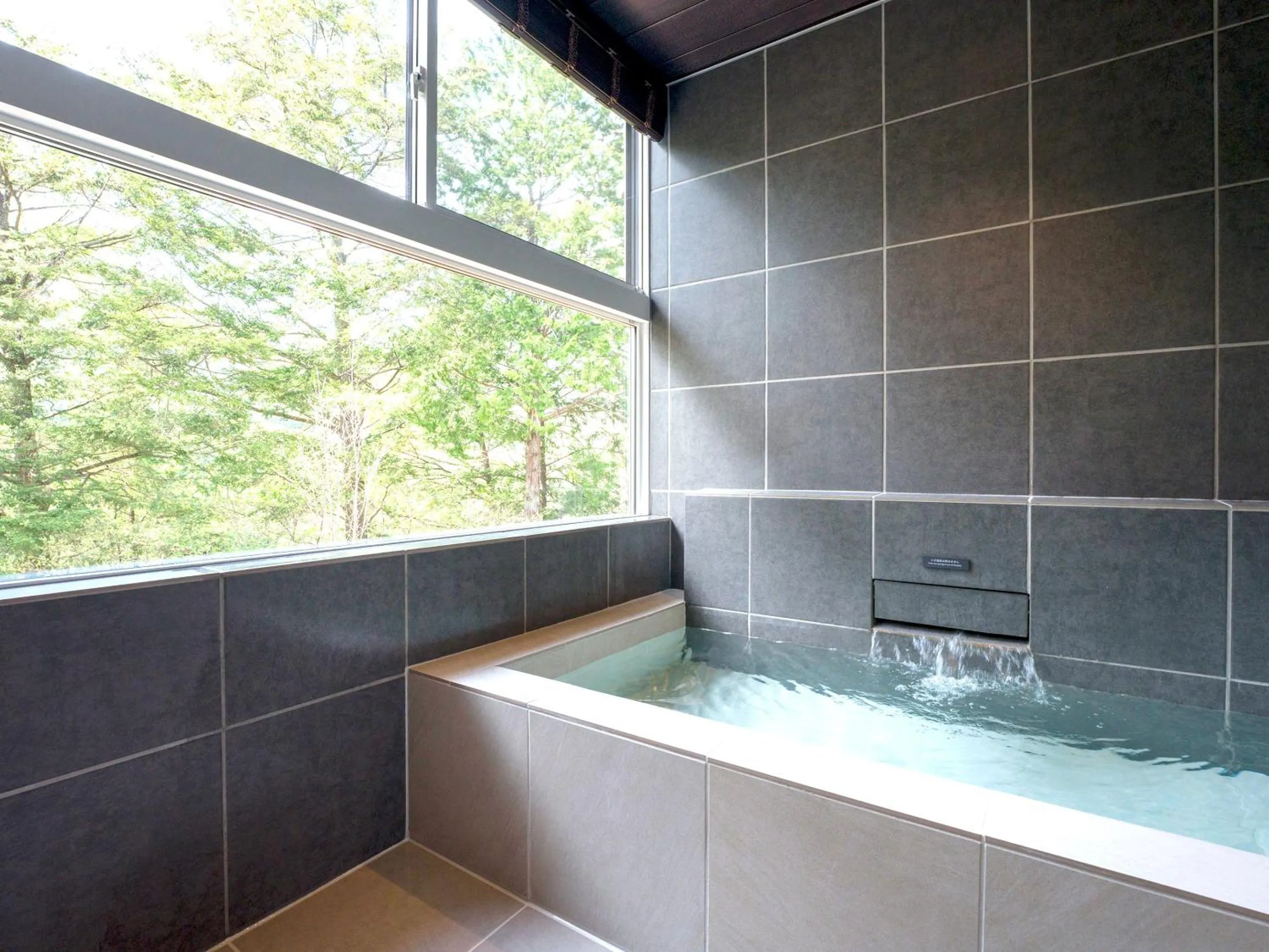 Hot Spring Bath in Rakuten STAY VILLA Kinugawa Riverside