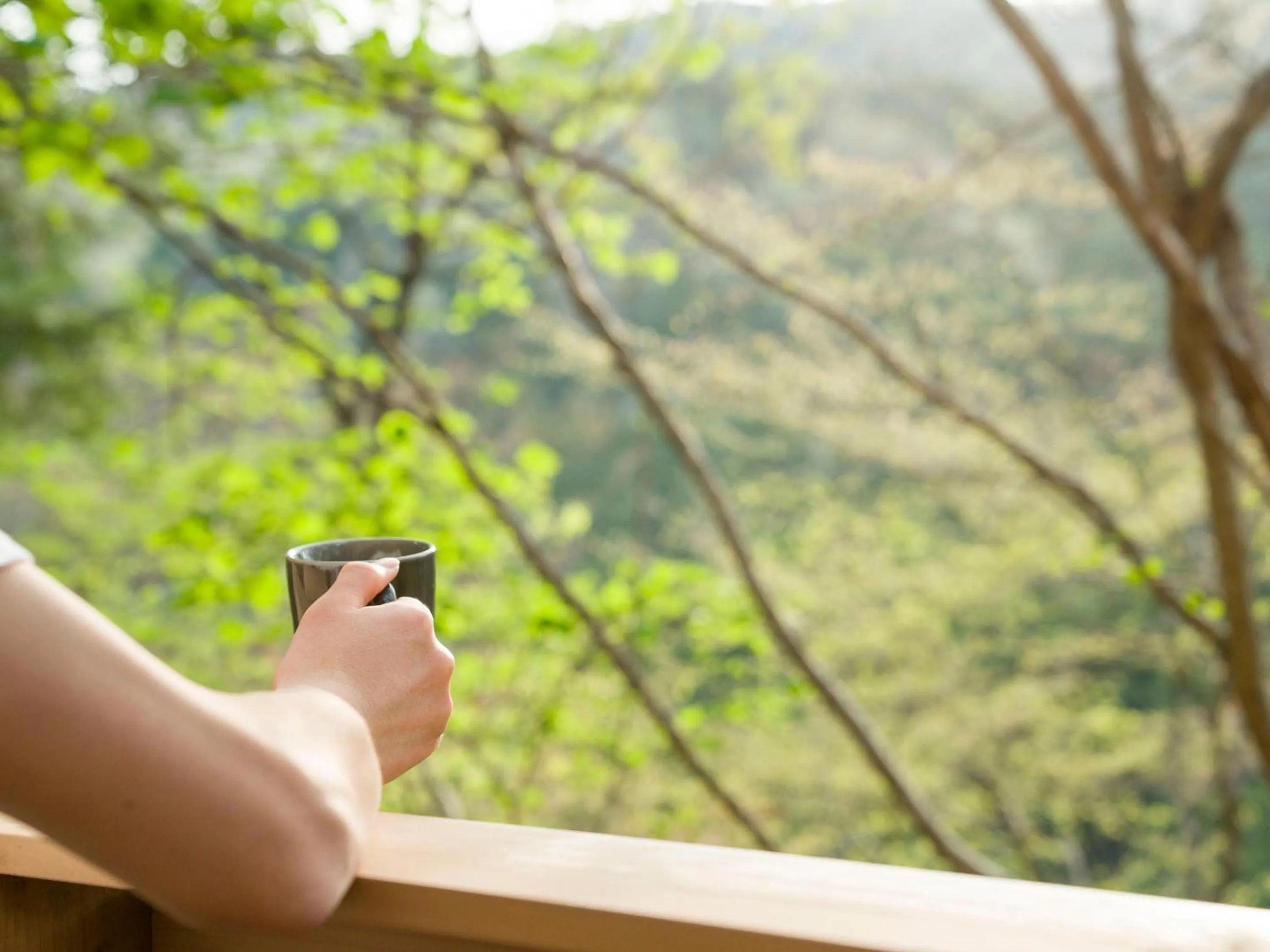 Natural landscape in Rakuten STAY VILLA Kinugawa Riverside