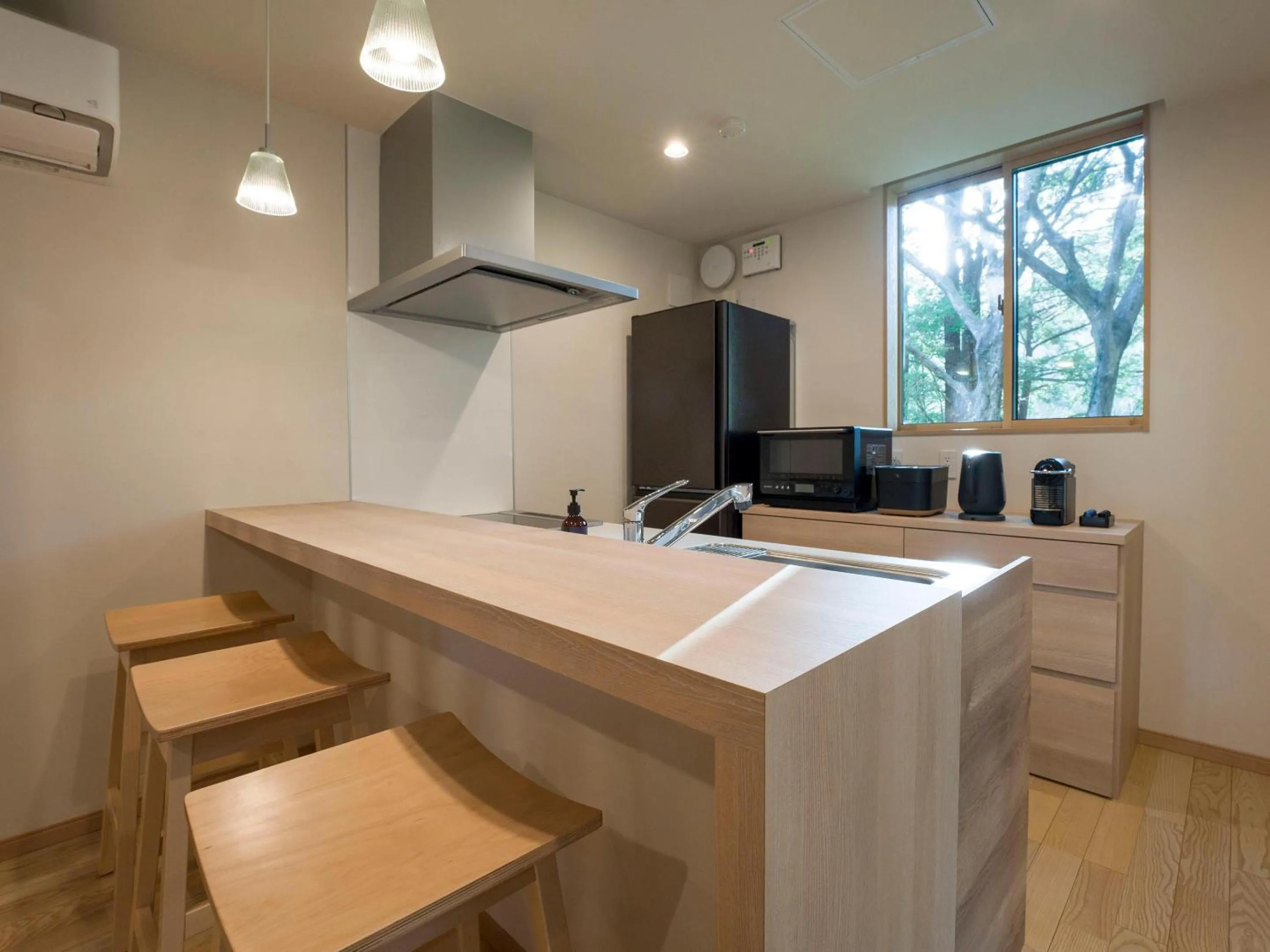 Kitchen or kitchenette in Rakuten STAY VILLA Kinugawa Riverside