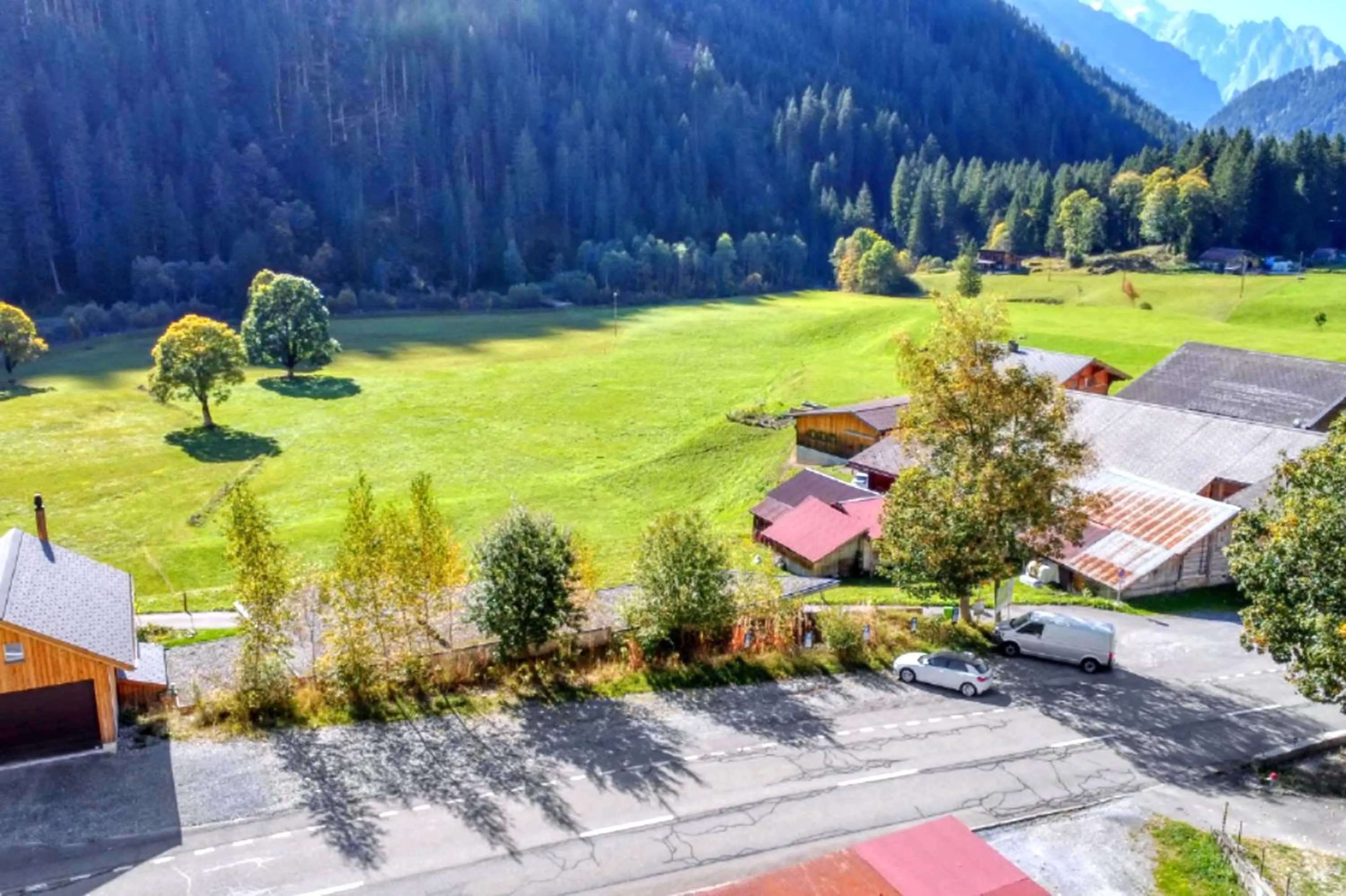 Garden in Gadmen Alpenrose, Switzerland