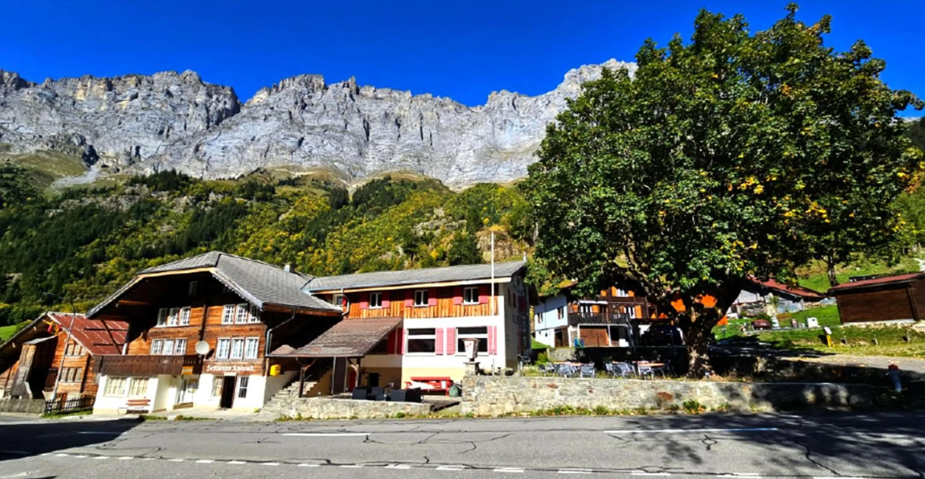 Gadmen Alpenrose, Switzerland