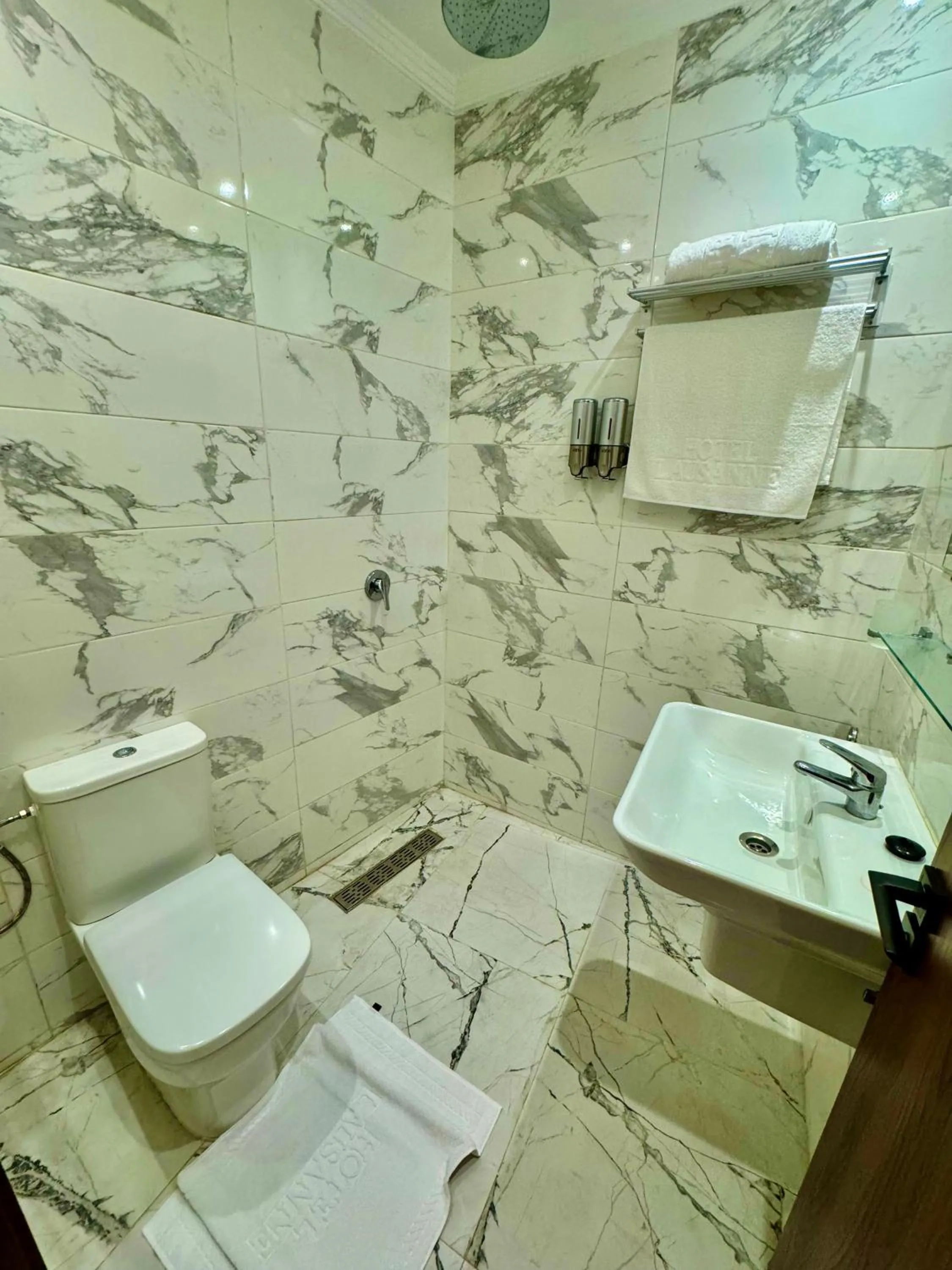 Toilet in The Hotel Syracuse