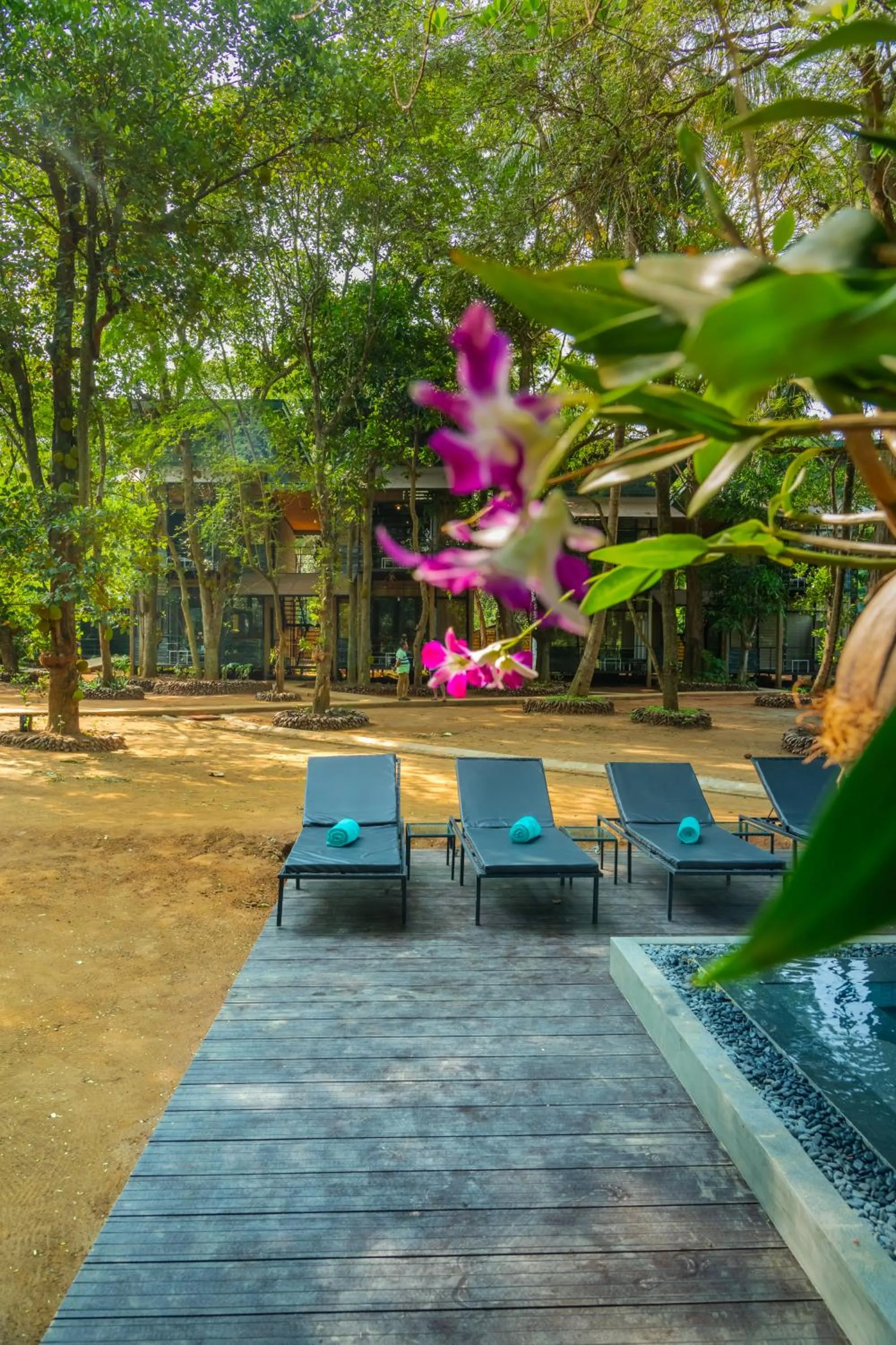 Garden in Waraka - Udawalawe by Thema Collection