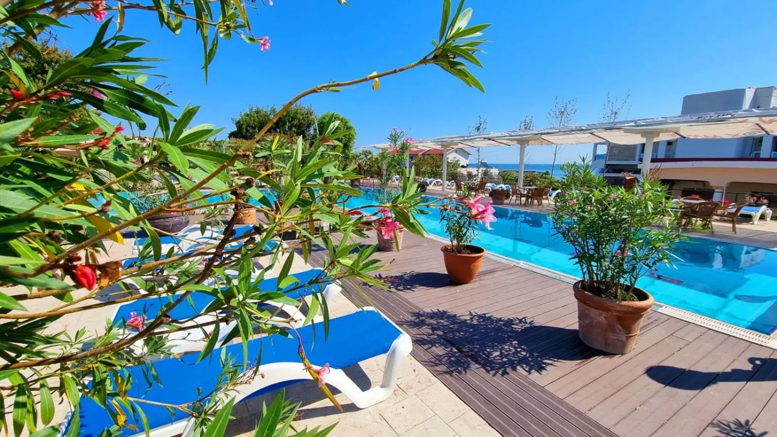 Vox Maris Grand Resort