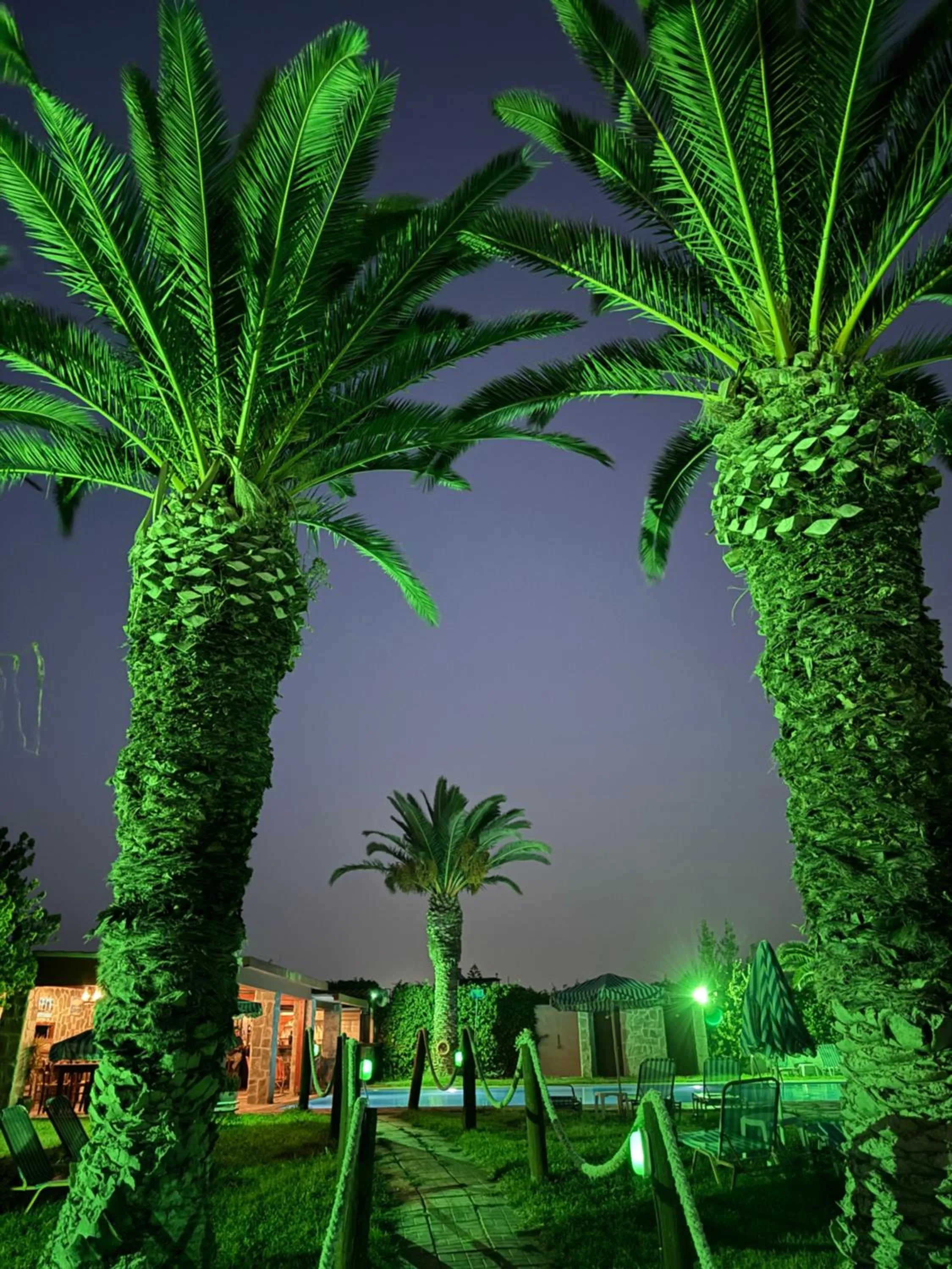 Garden view in Zac & Georgio Studios