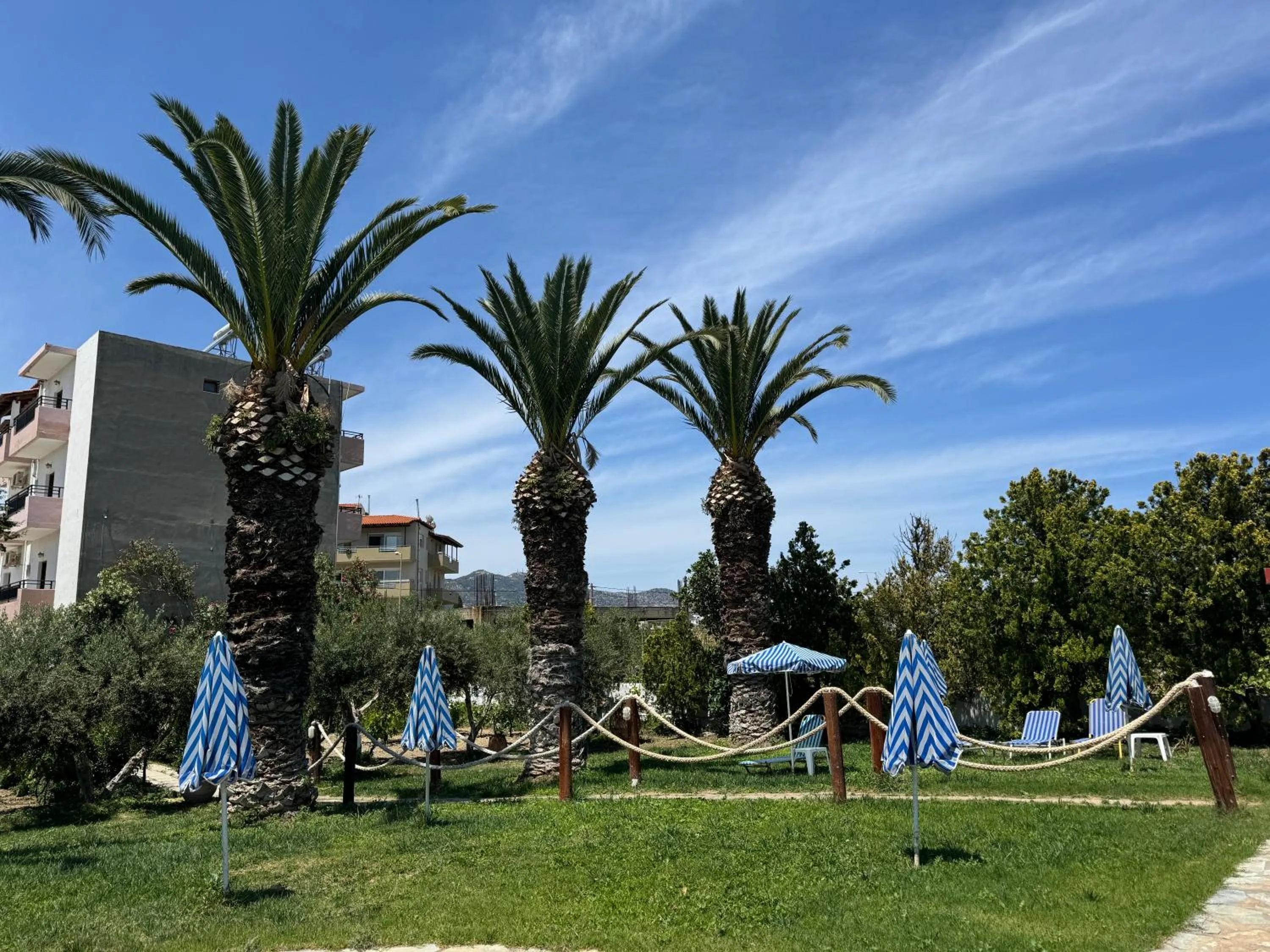 Garden in Zac & Georgio Studios