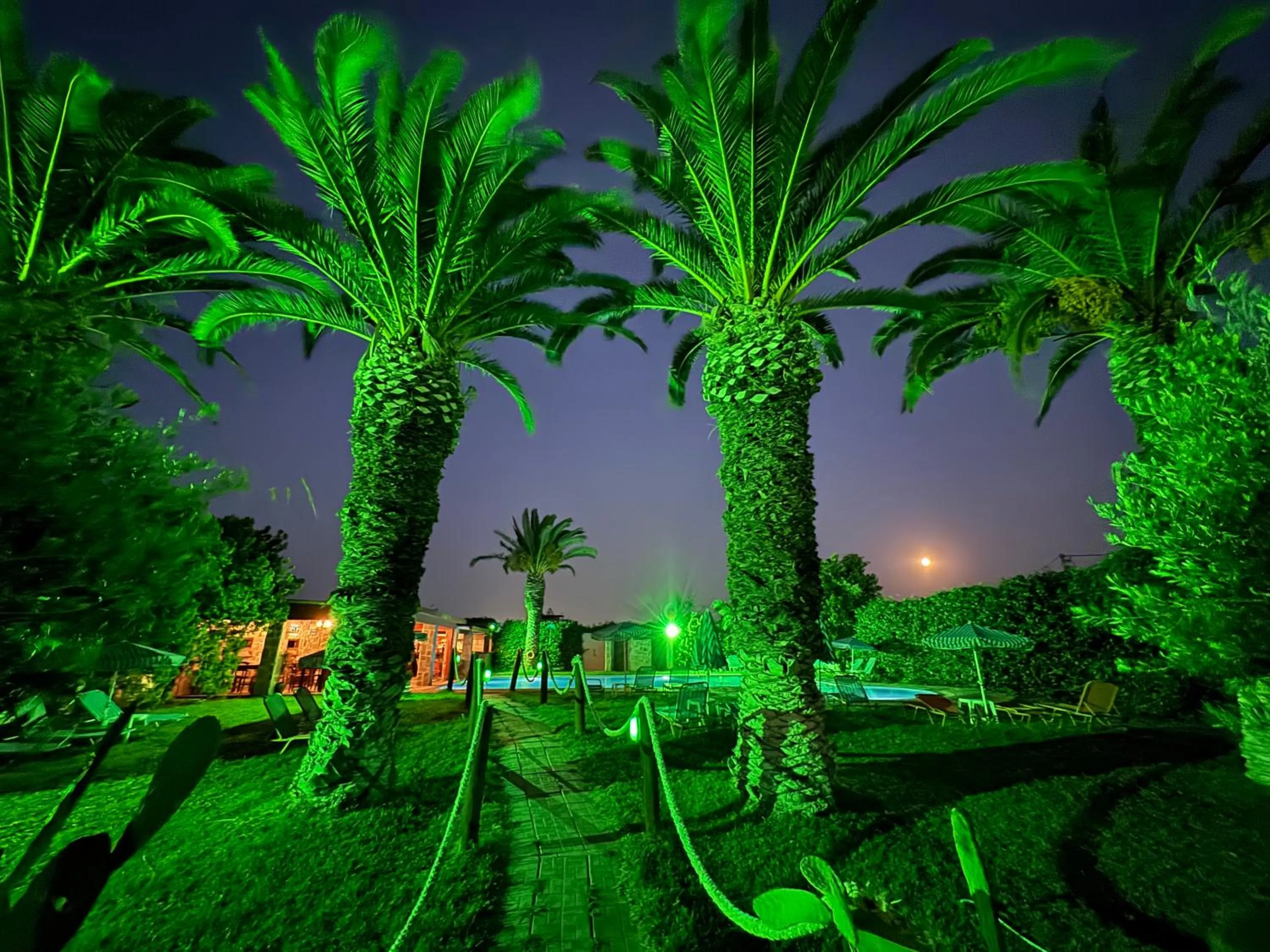 Night in Zac & Georgio Studios