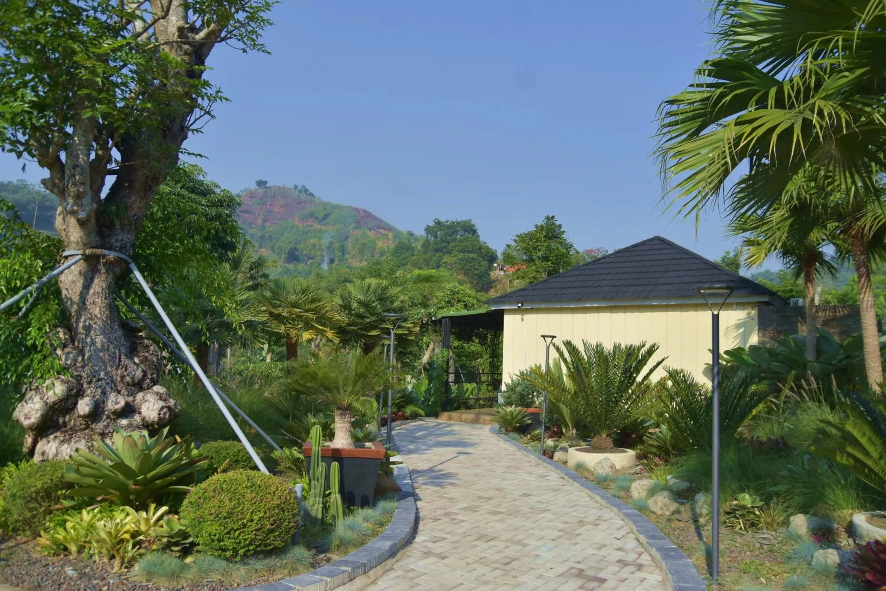 Sarga Earthing Resort