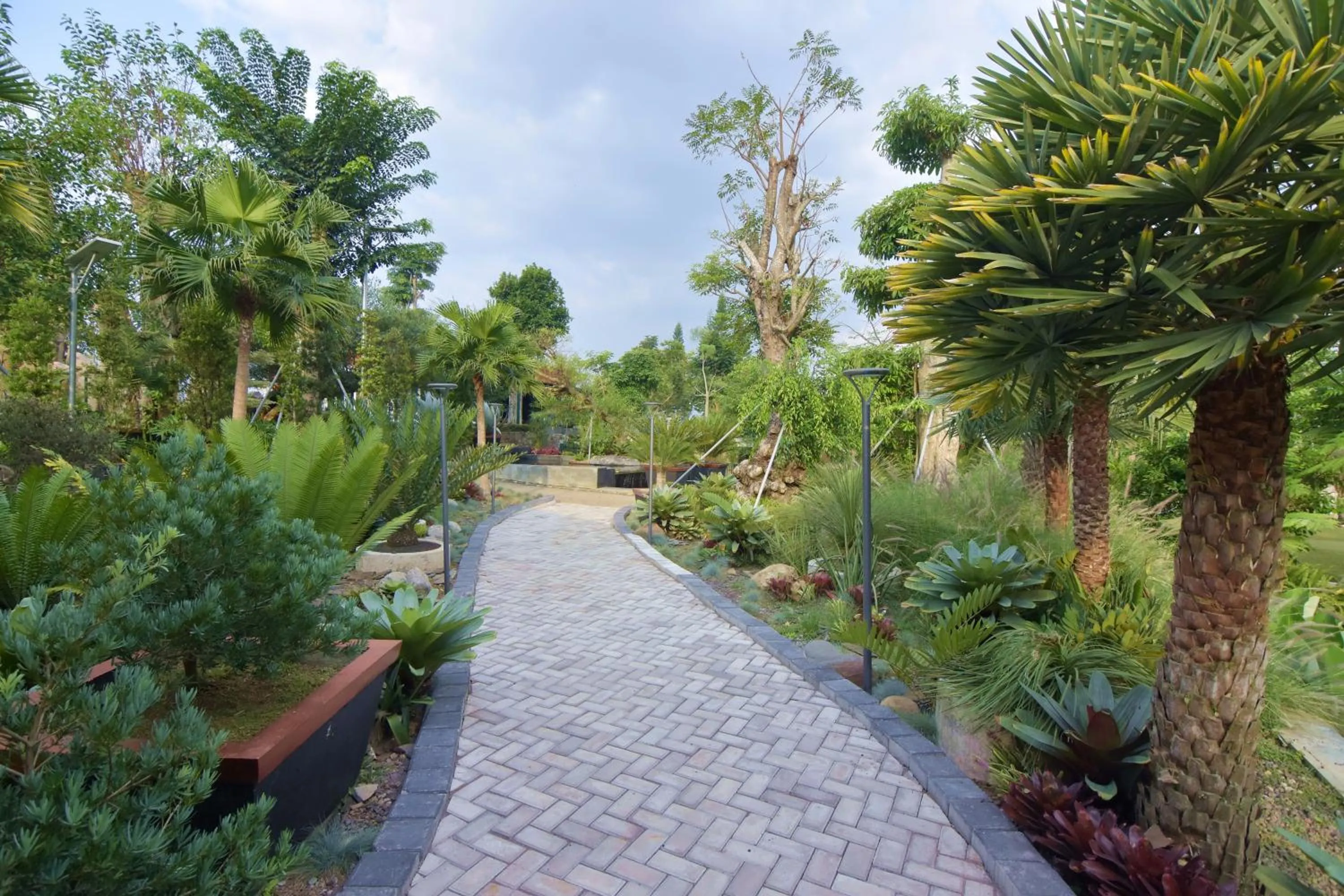 Sarga Earthing Resort