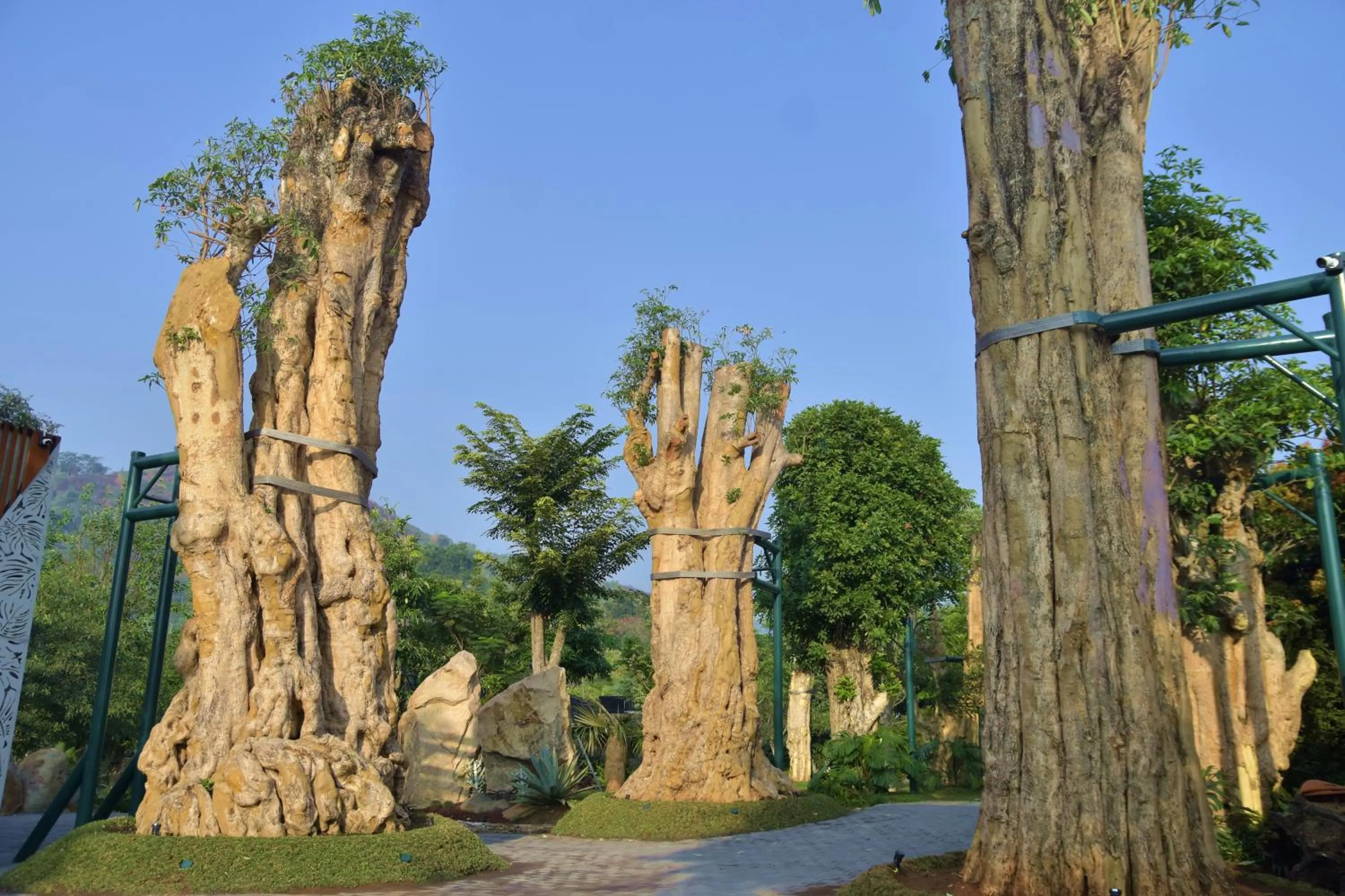 Sarga Earthing Resort