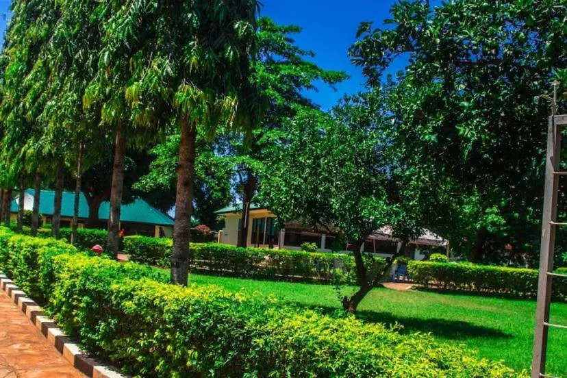 Garden in CBA Hotel