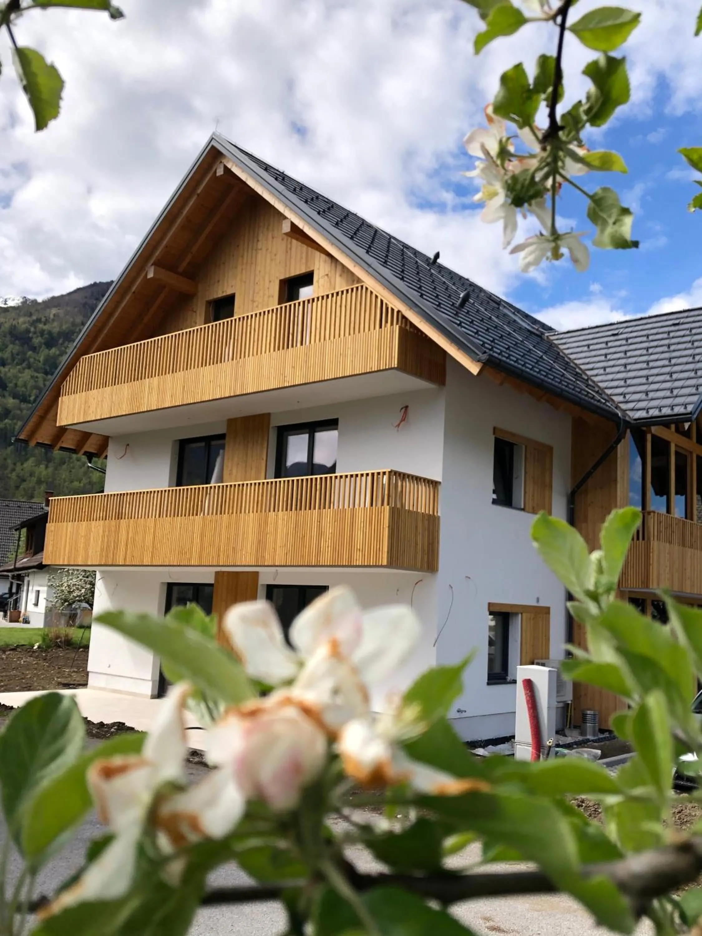 Property building in Vila Nina Bohinj