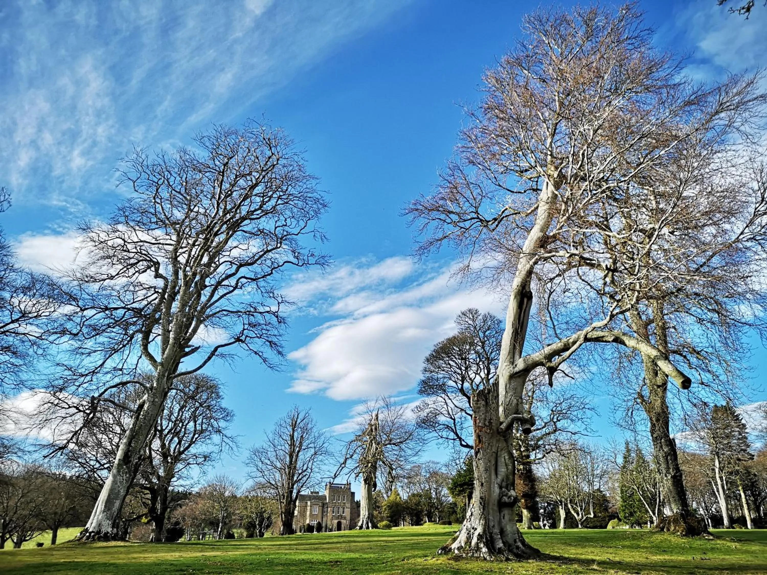 Facade/entrance in Macdonald Pittodrie House