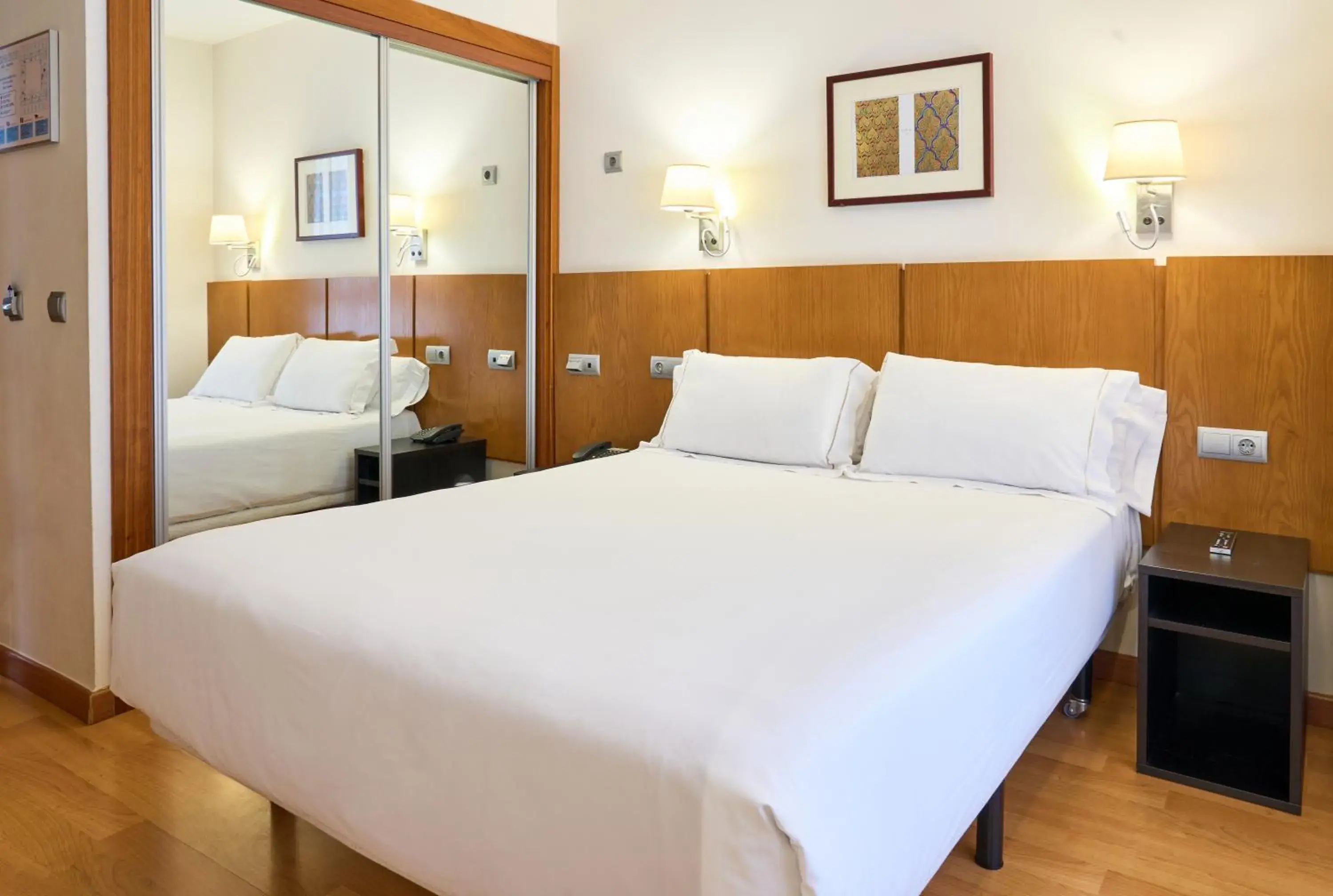 Economy Double Room in Senator Granada Economy Double Room in Senator Granada