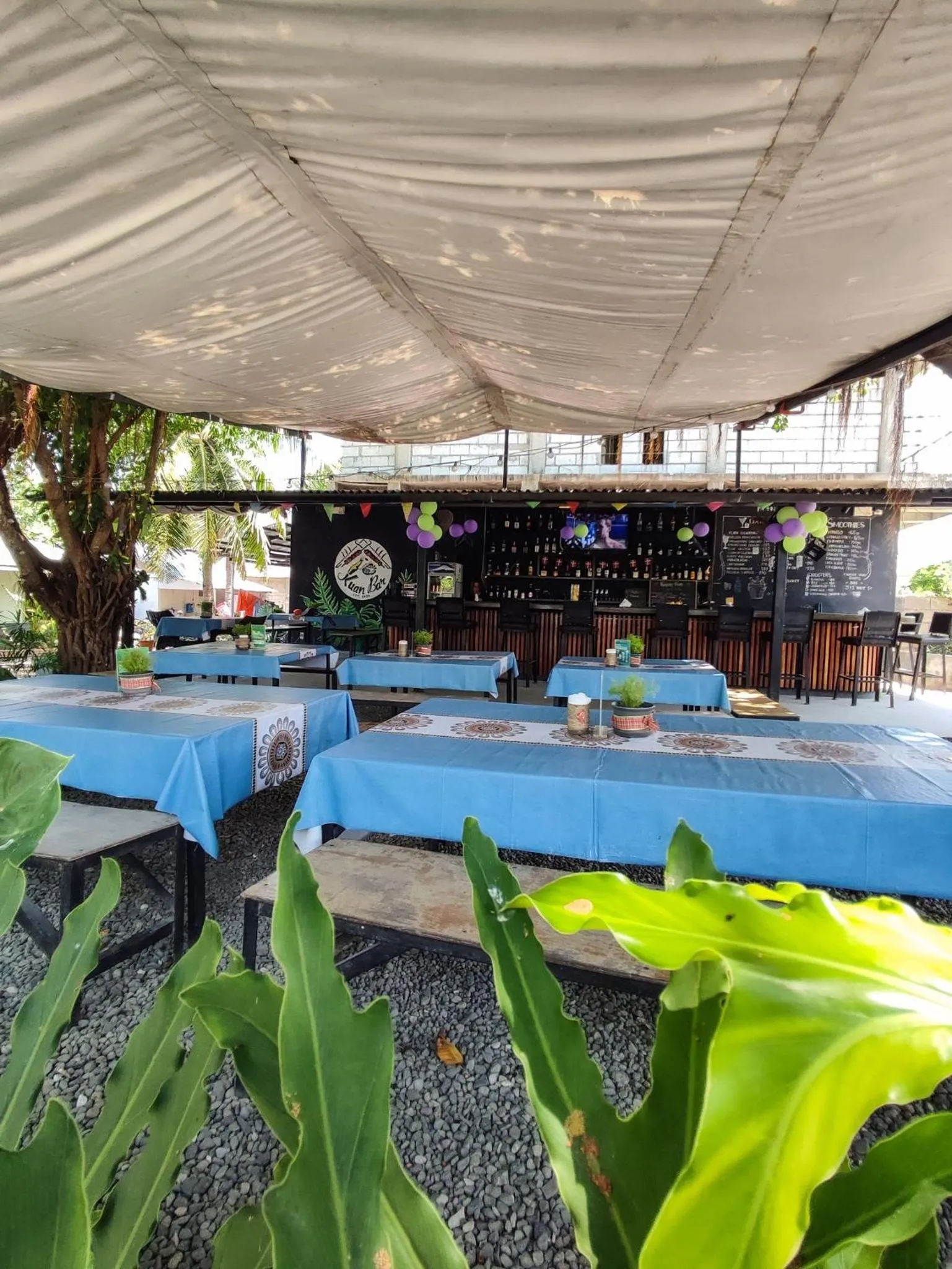 Restaurant/places to eat in HYD Hostel Moalboal