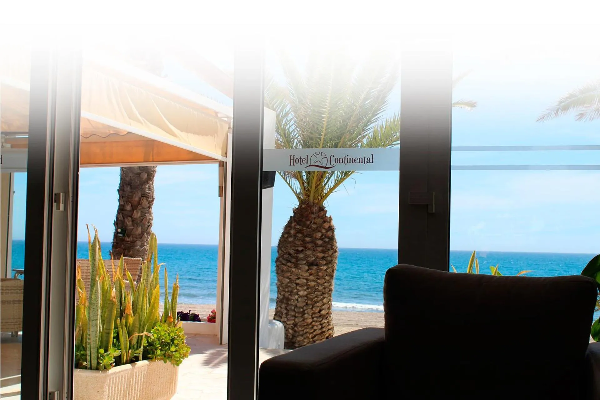 Restaurant/places to eat in Hospedium Hotel Continental