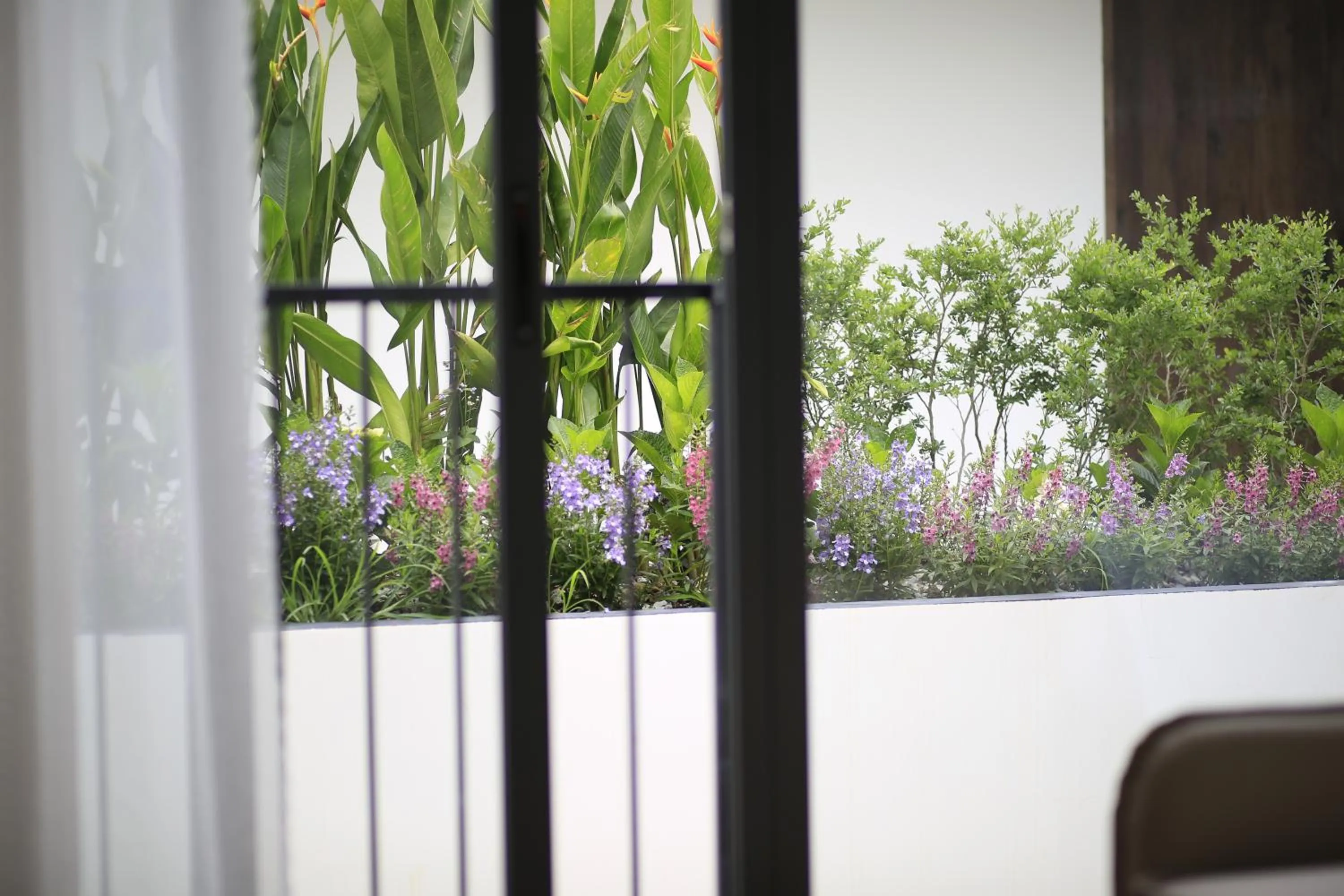 DD Hospitality - Mi Amor Da Lat