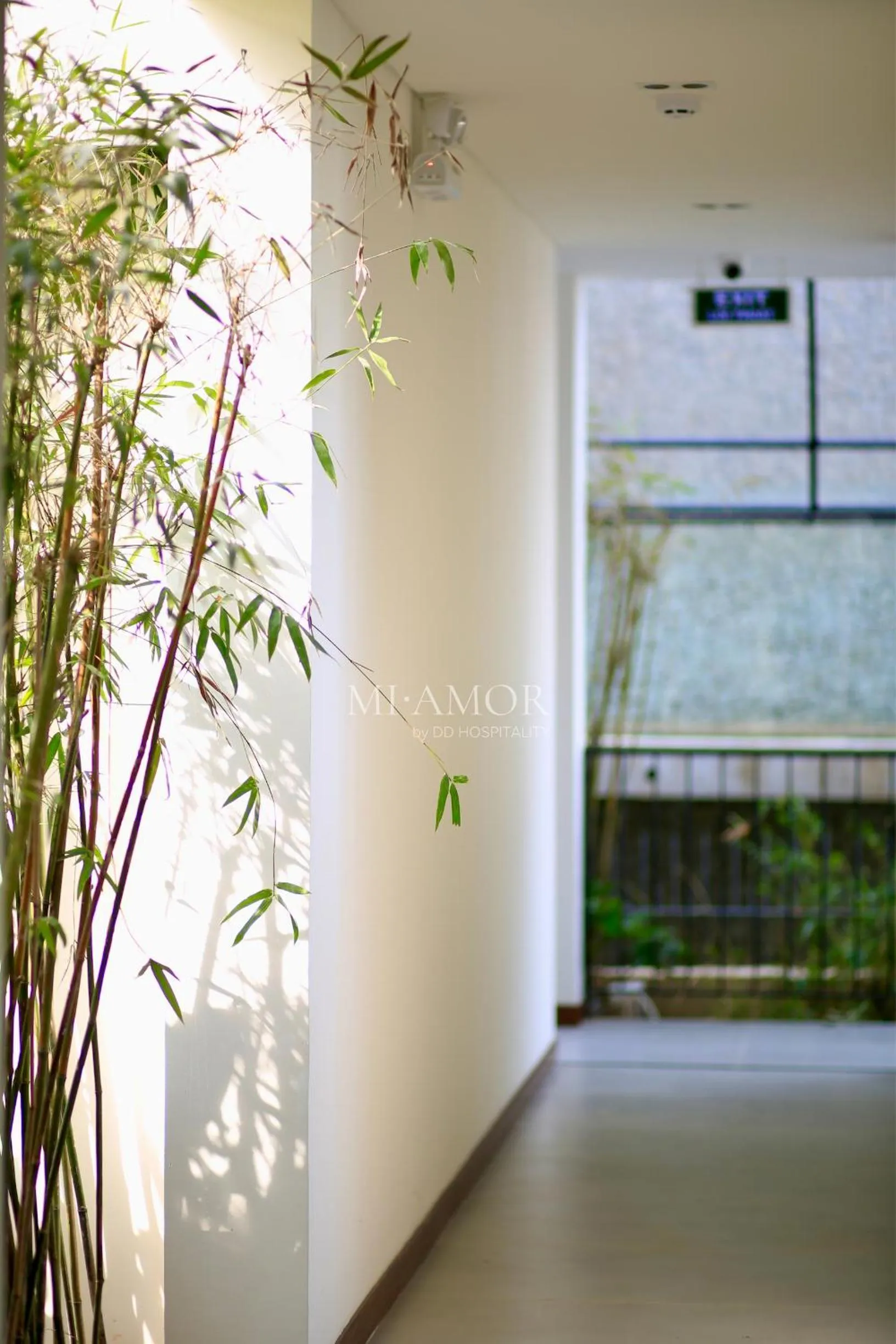 Day in DD Hospitality - Mi Amor Da Lat