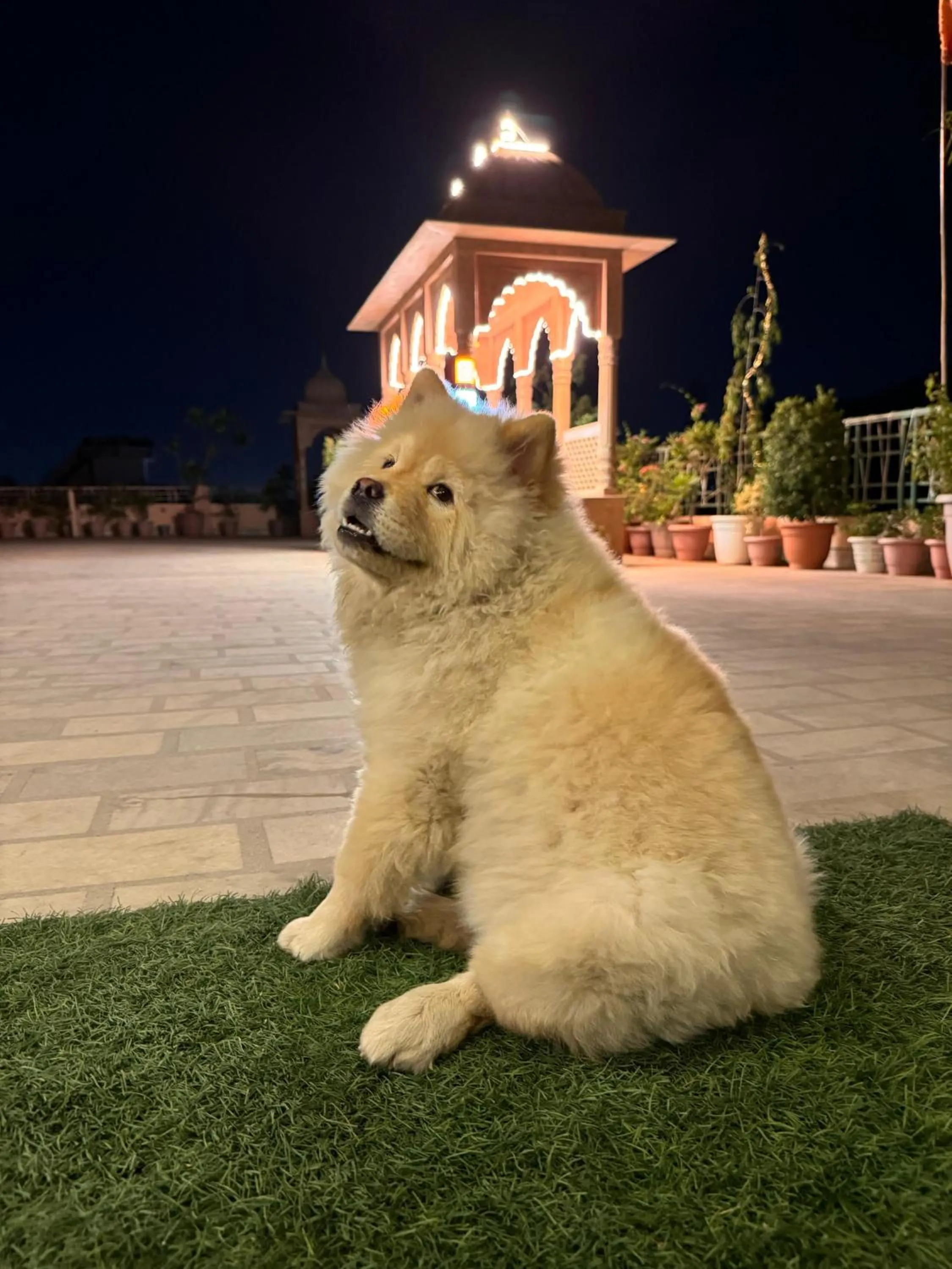 Balcony/Terrace in Jaipur View