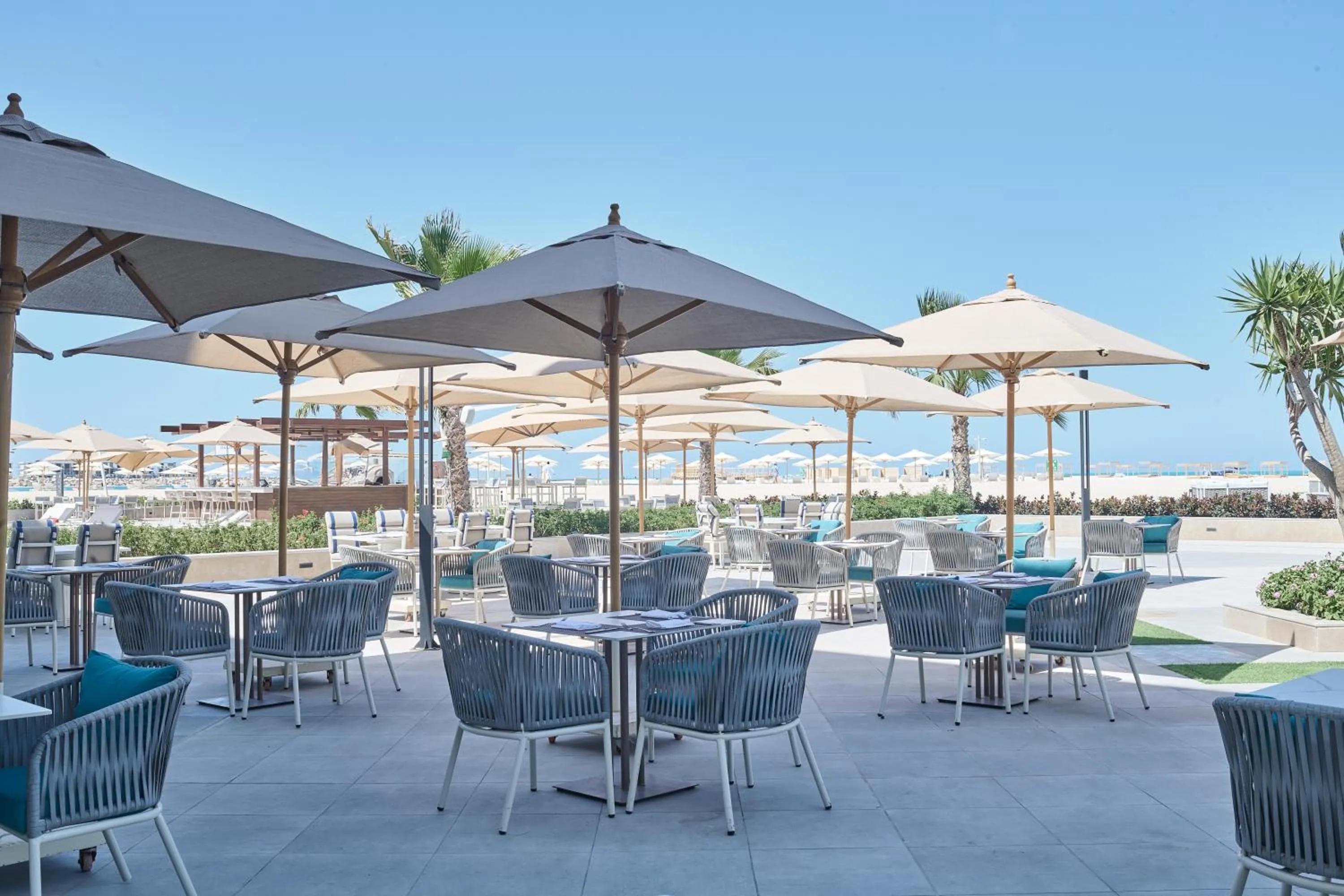 Restaurant/places to eat in Palma Bay Rotana Resort