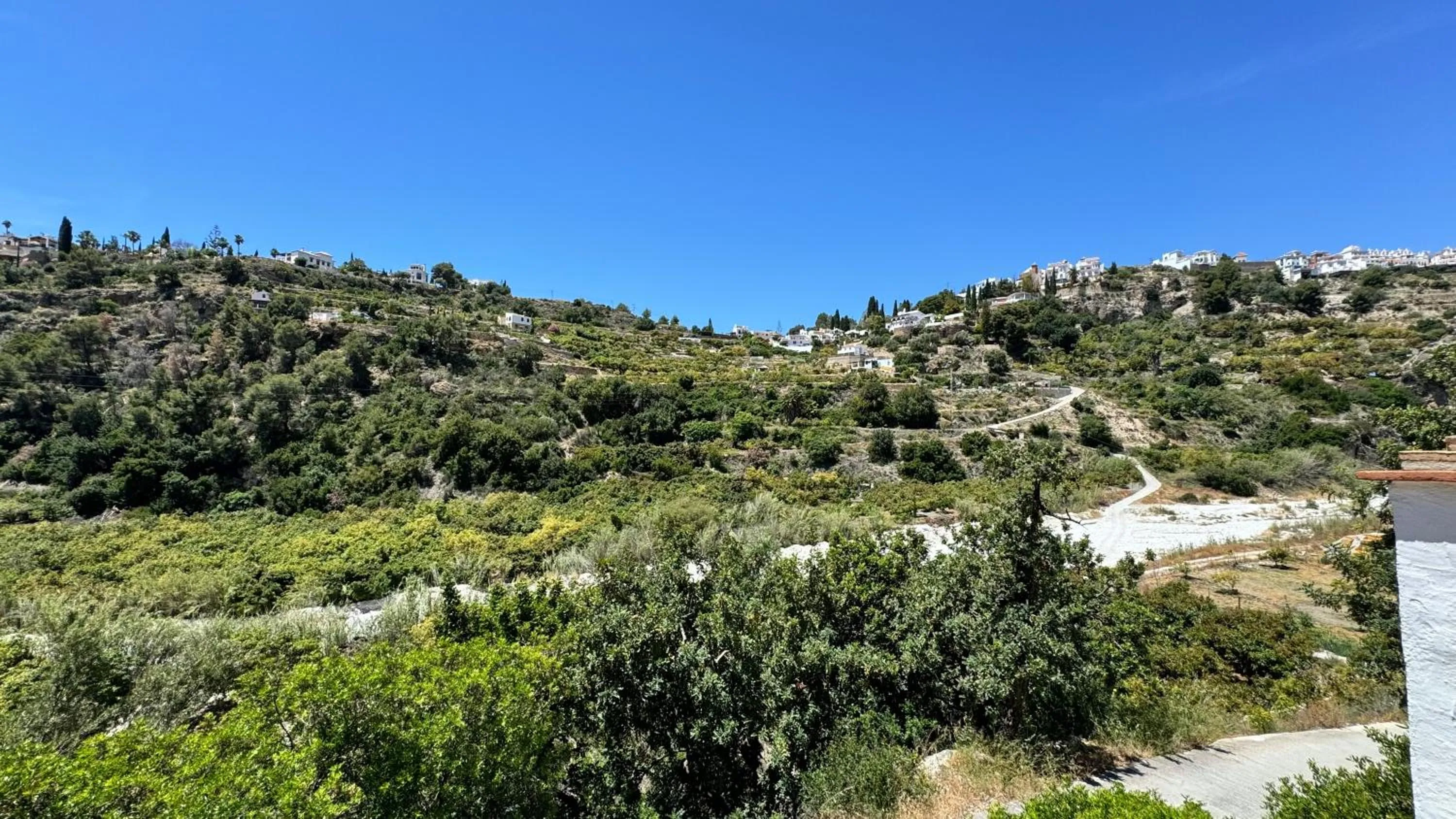 View (from property/room) in Cortijo El Majito