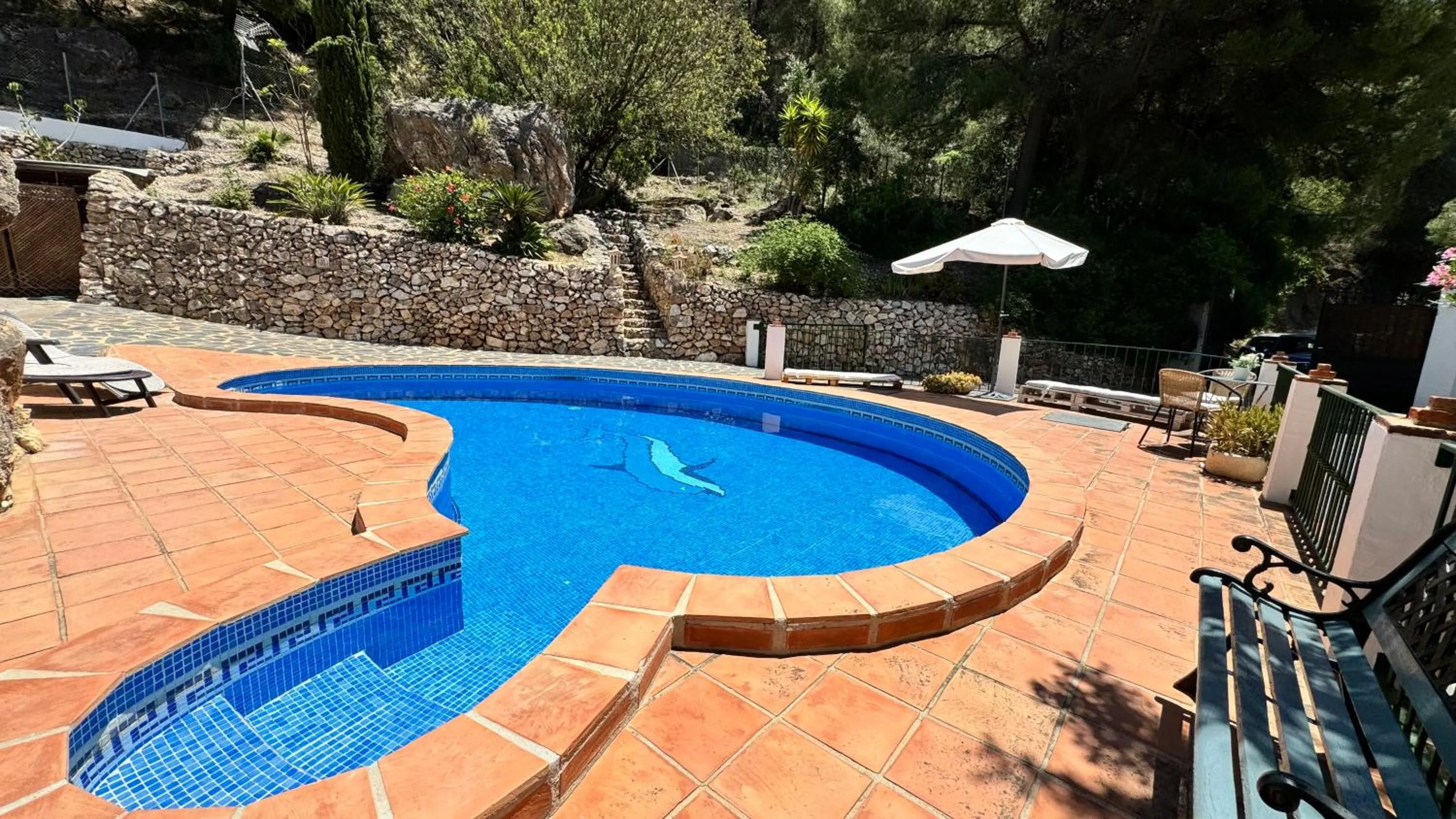 Swimming pool in Cortijo El Majito