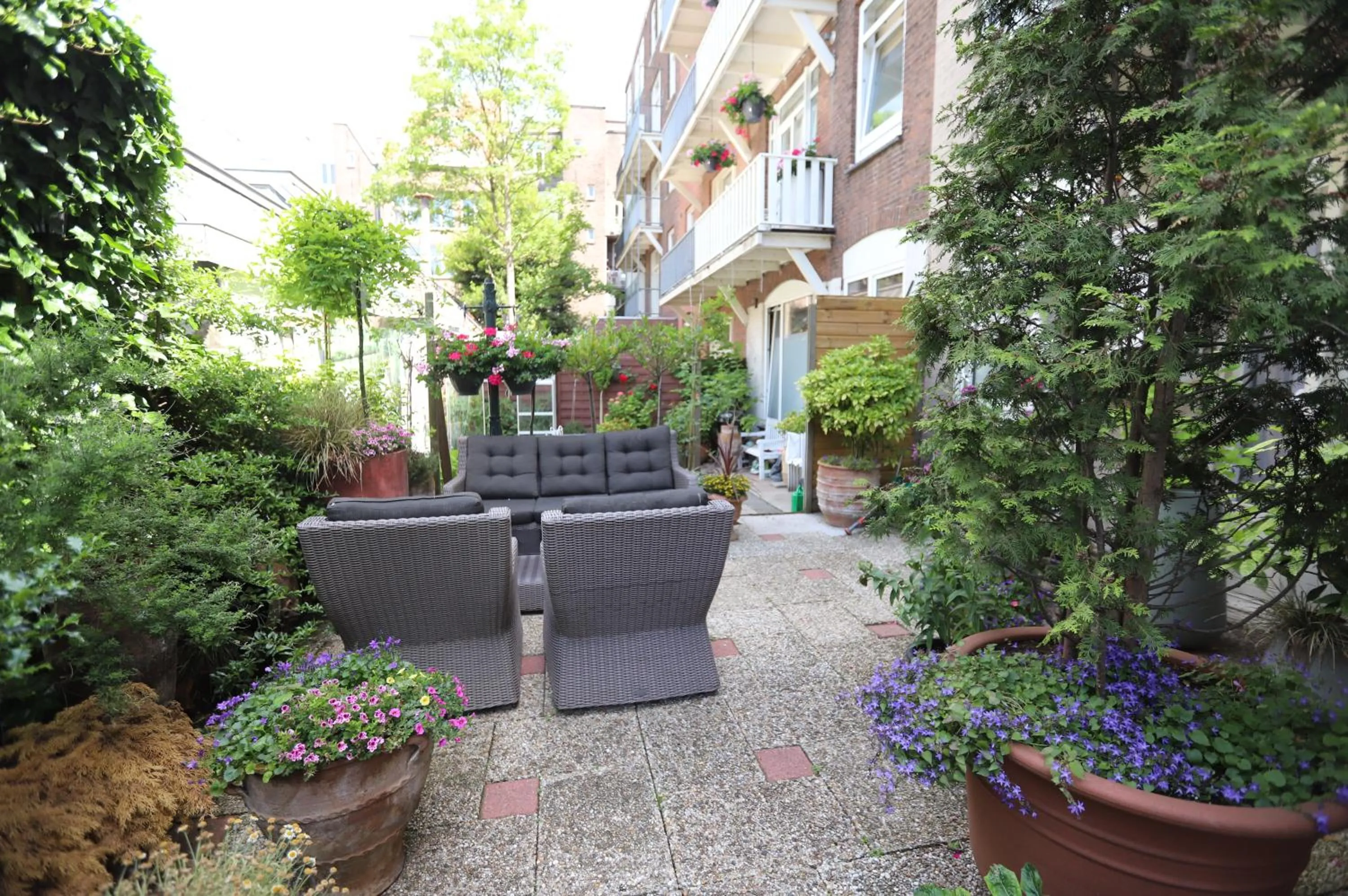 Garden in Jupiter Hotel