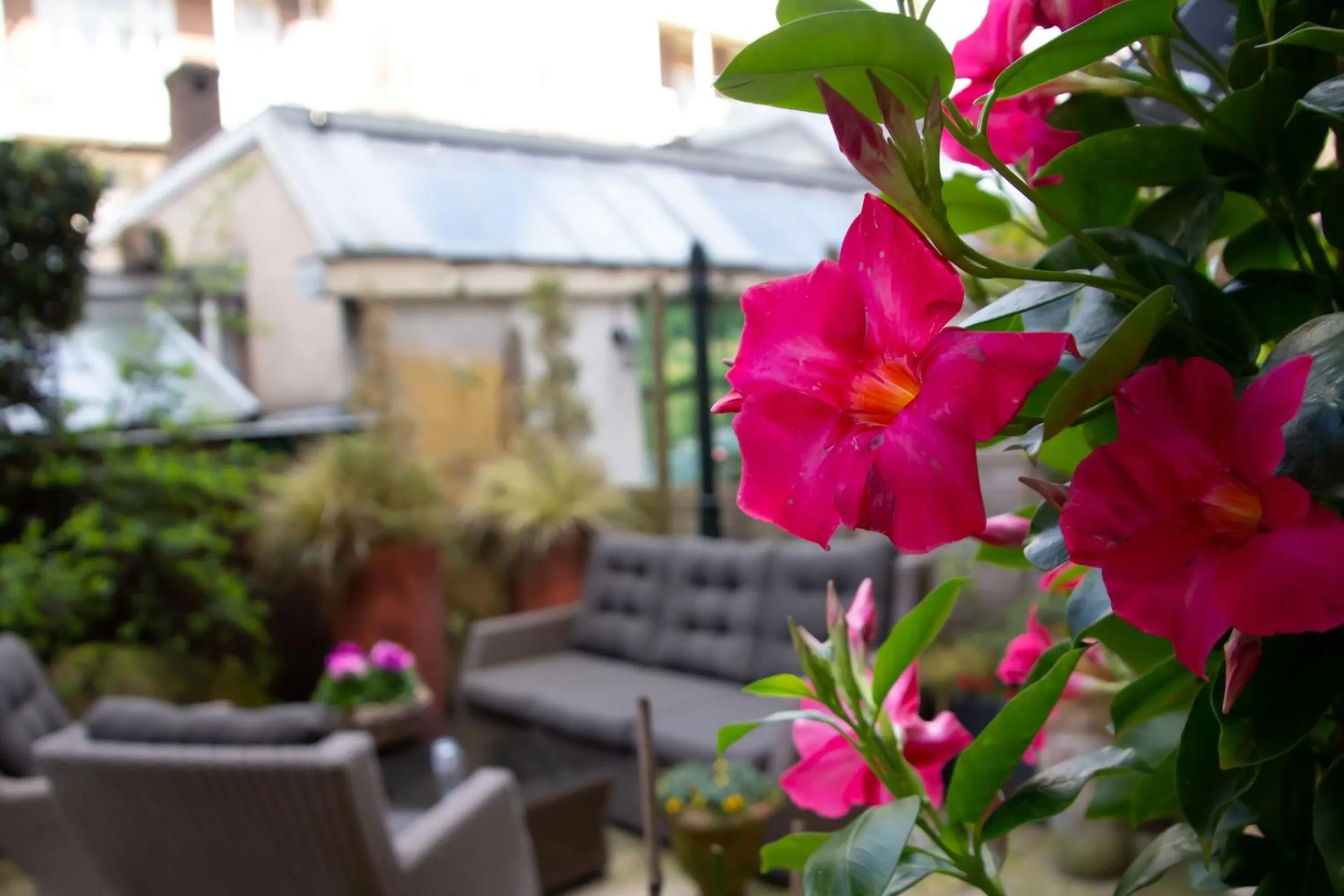 Patio in Jupiter Hotel
