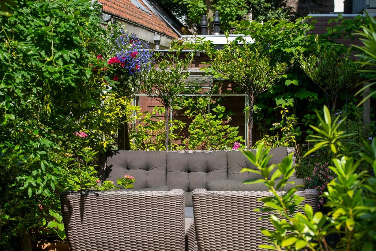 Garden in Jupiter Hotel