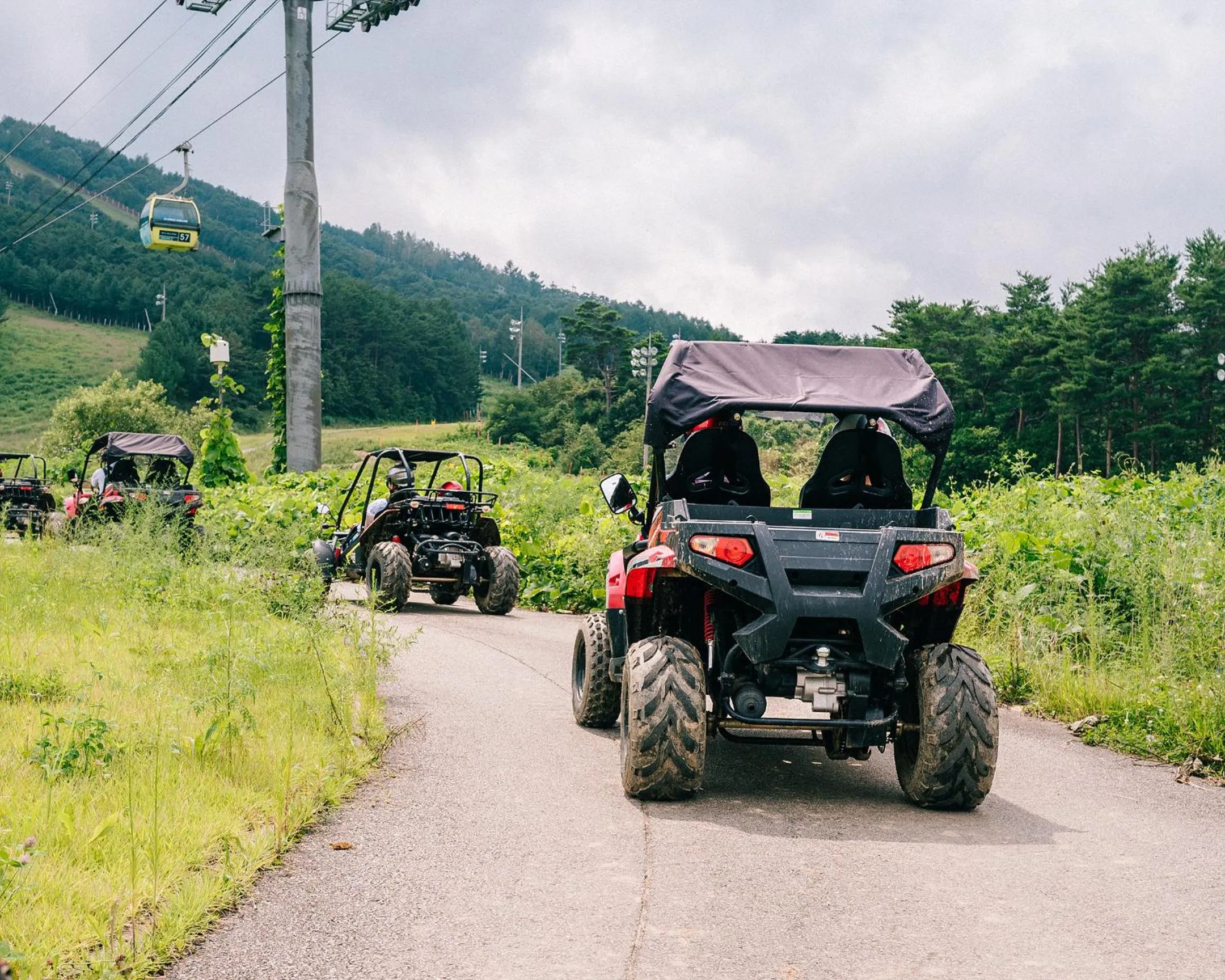 Wellihilli Park Resort