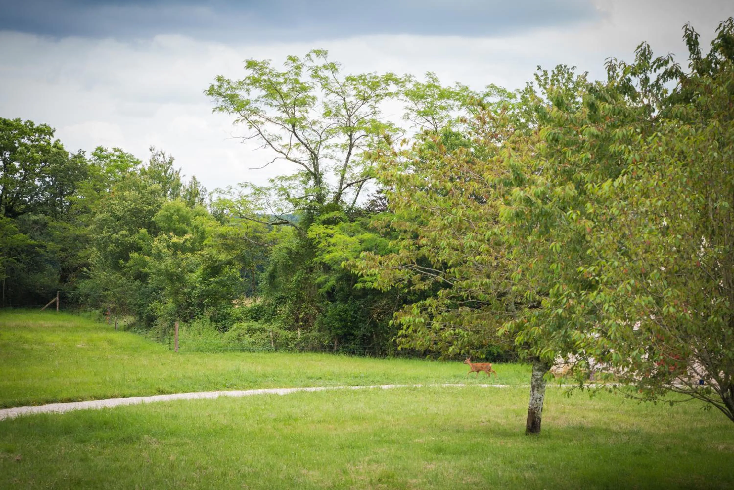 Garden view in Domaine de l'Ecorcerie