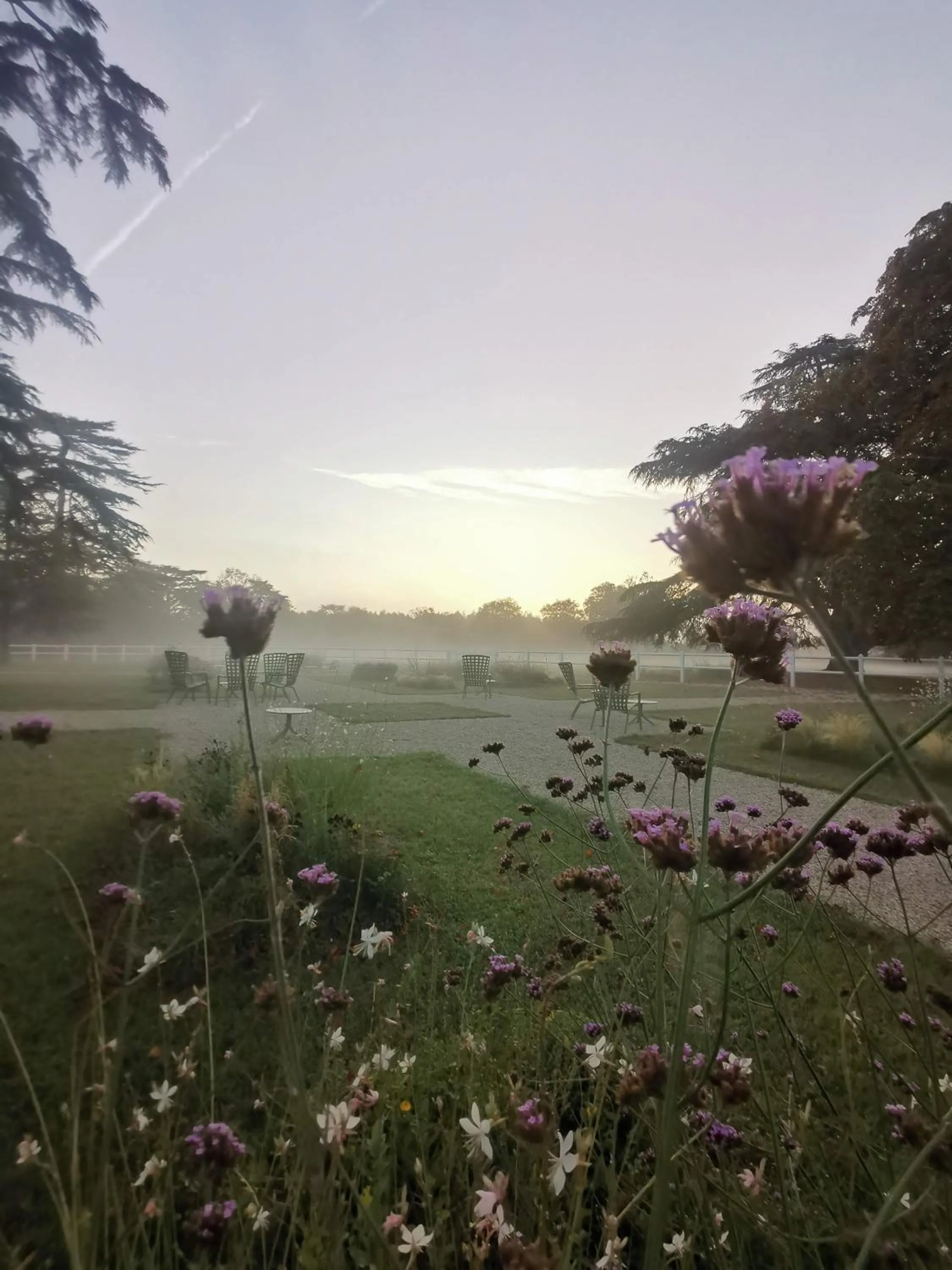 Garden in Domaine de l'Ecorcerie